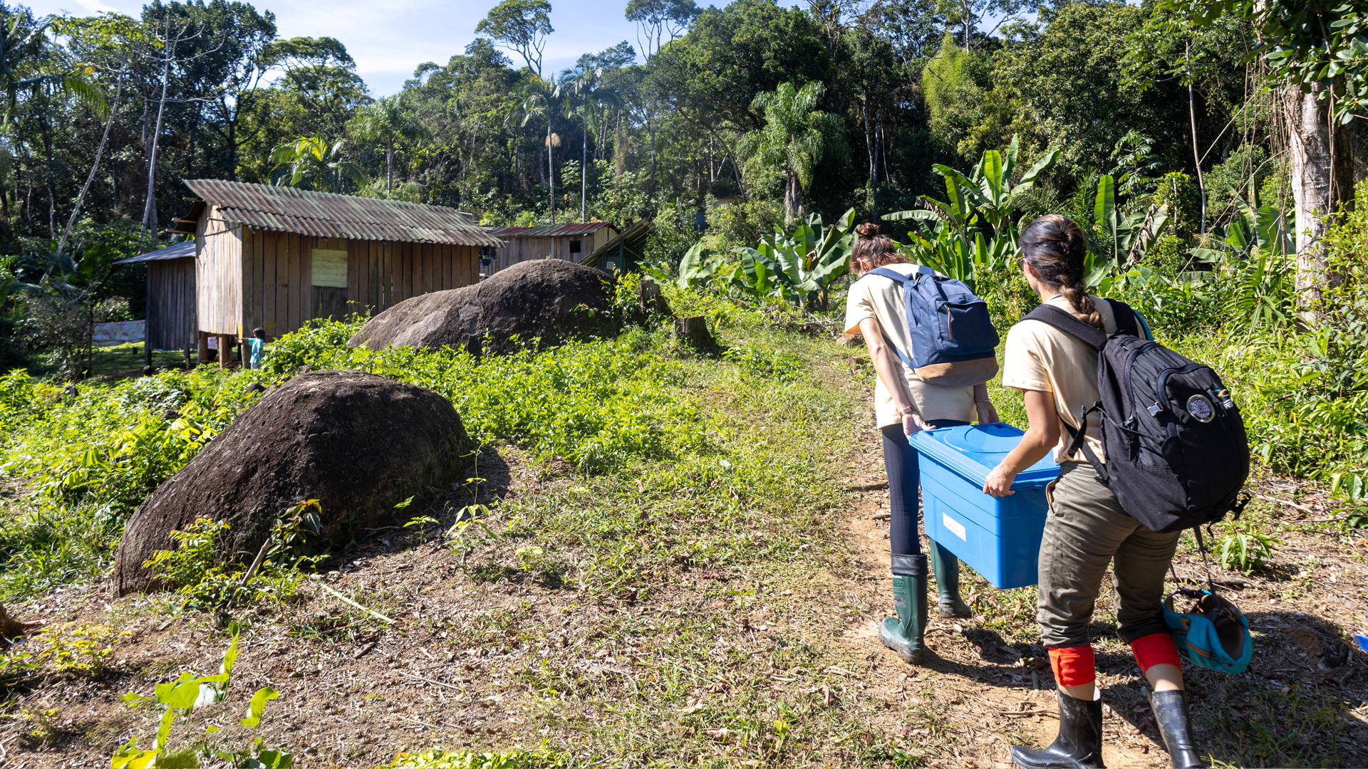 Hilab: Bridging Care Across Borders