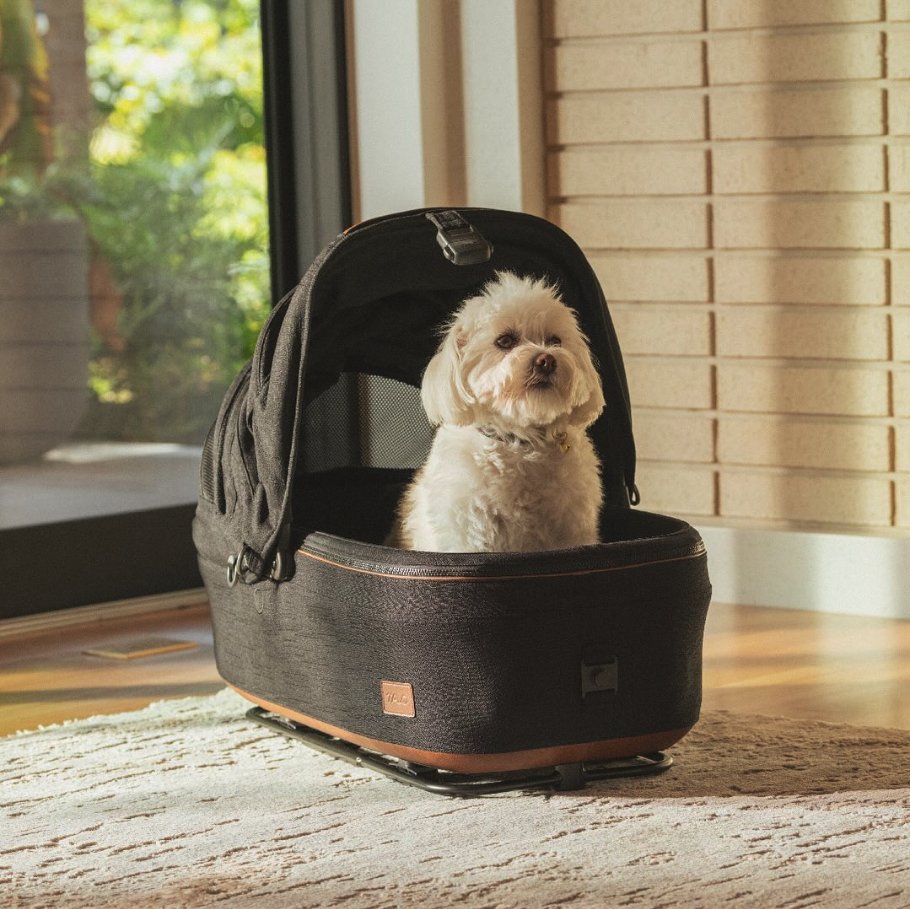 Tavo Pets 3-in-1 Pet Protection System