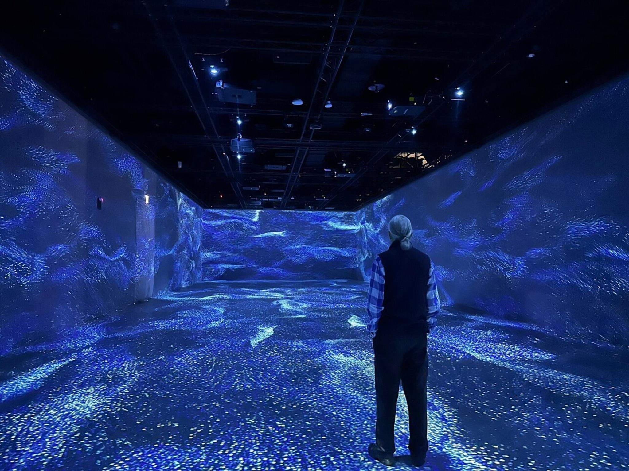 Re: Paul Chiang - Immersive Exhibition