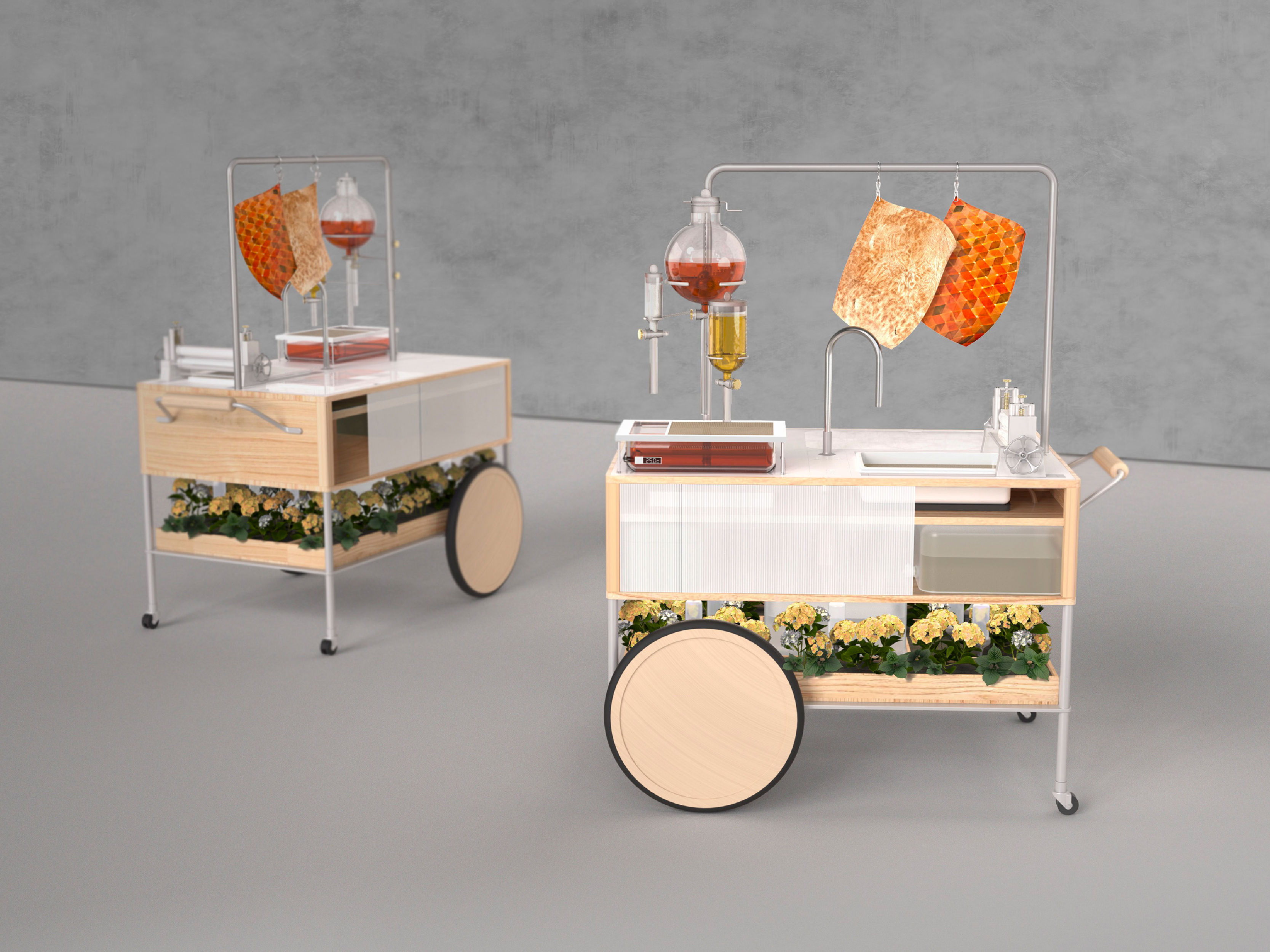 Mr. Kombucha’s Lab II