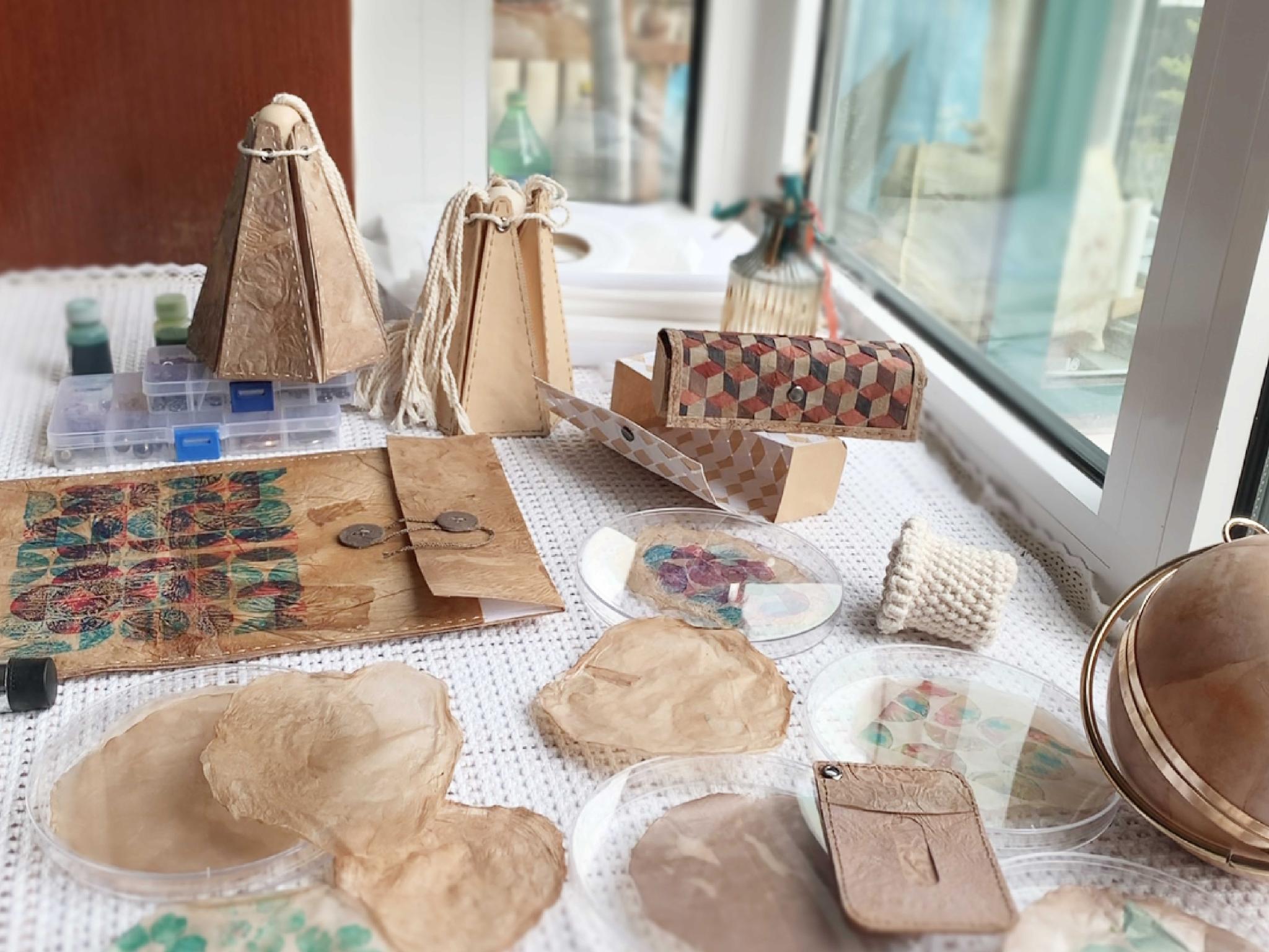 Mr. Kombucha’s Lab II