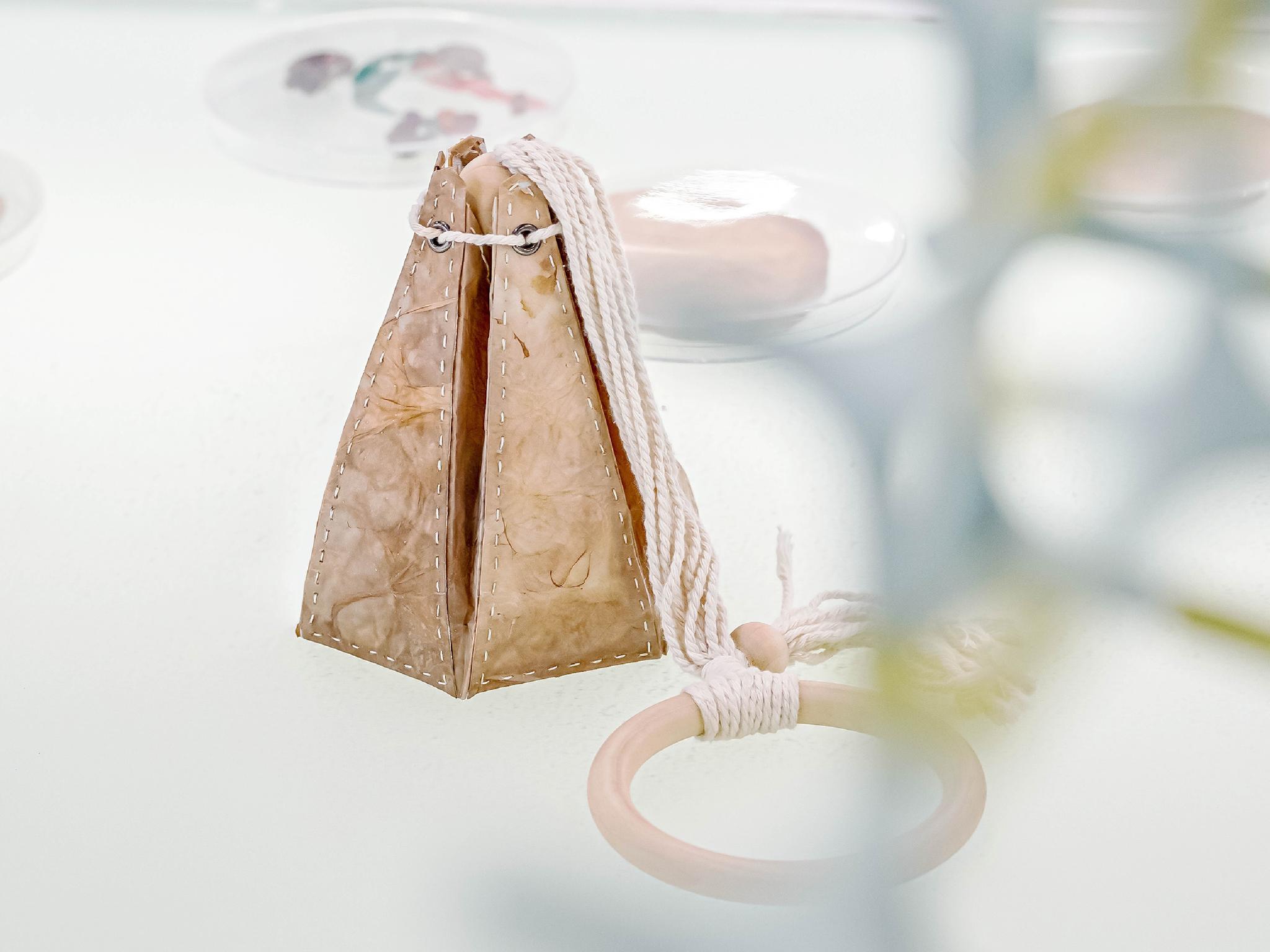 Mr. Kombucha’s Lab II