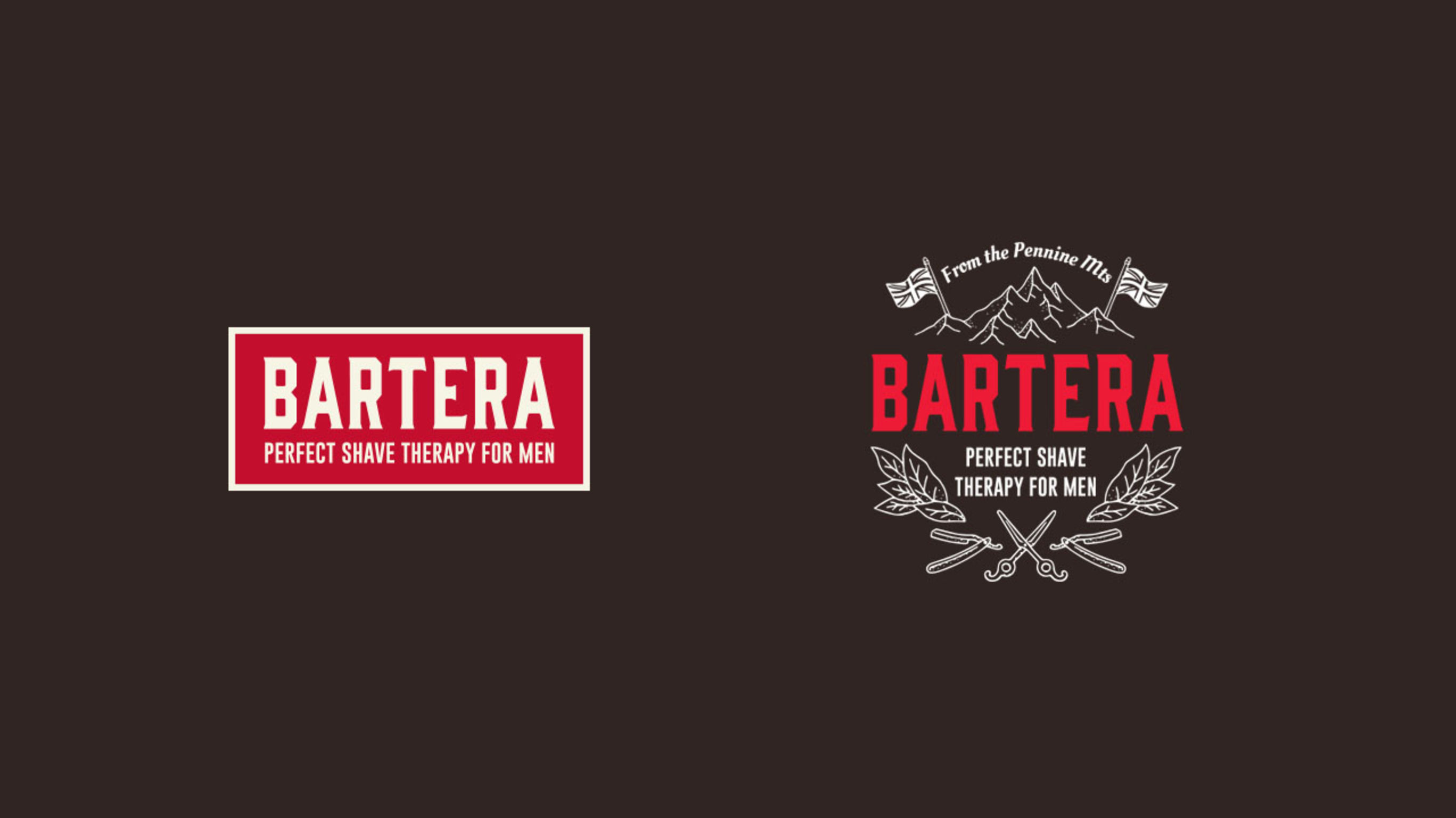 BARTERA Perfect shave therapy for man