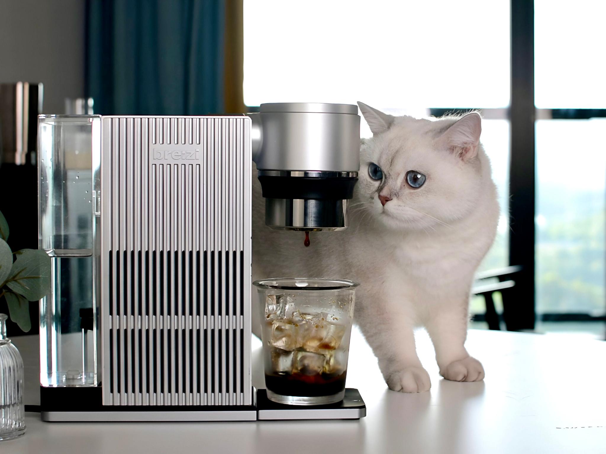 BREZI Cold Brew Coffee Machine