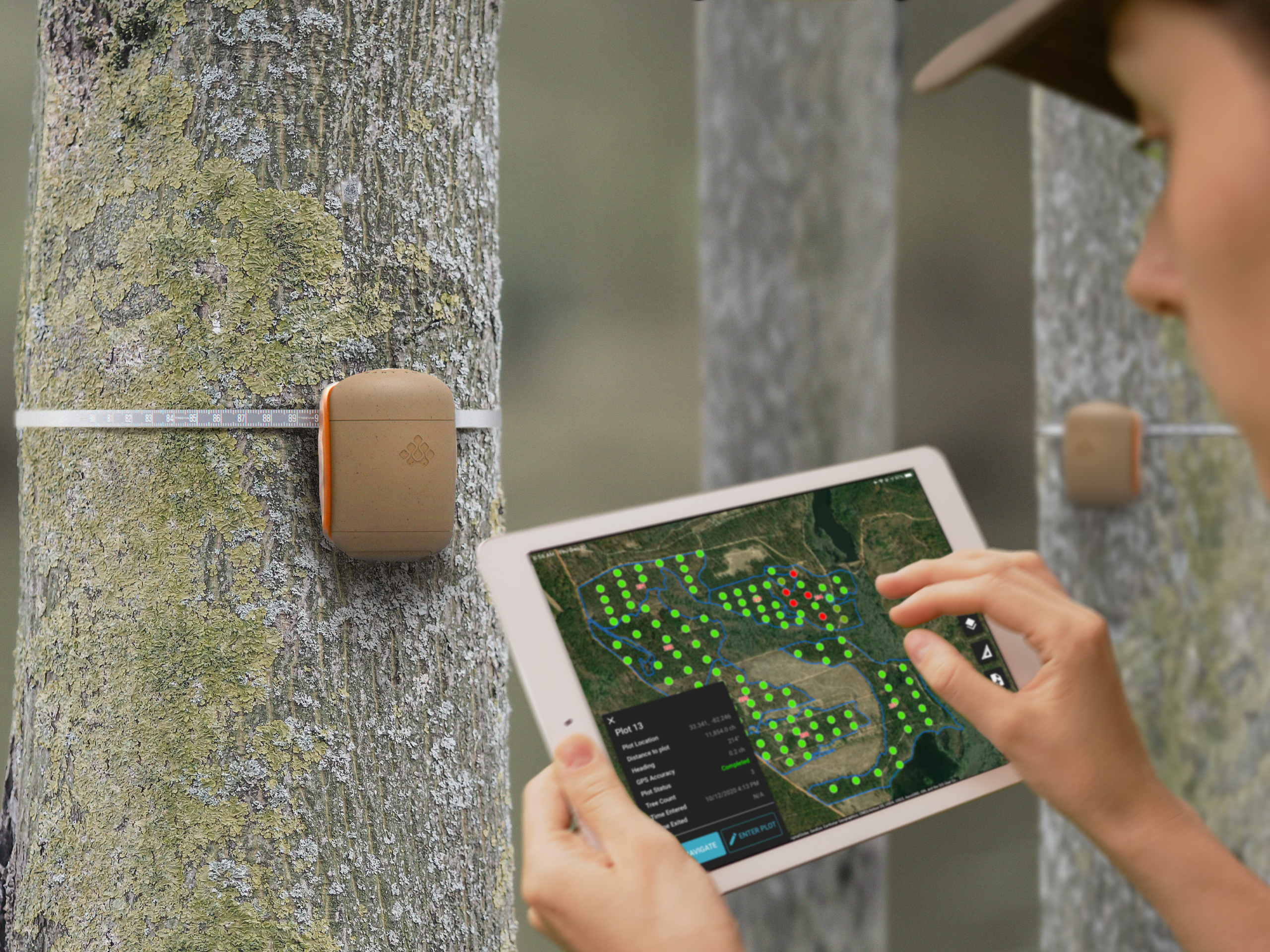 Treevia - Smart Forest