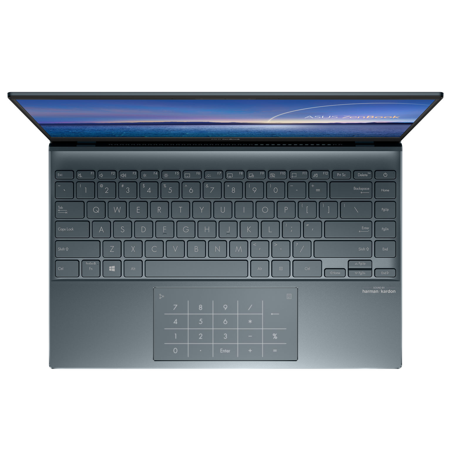 ASUS ZenBooK 13/14 (UX325/UX425)