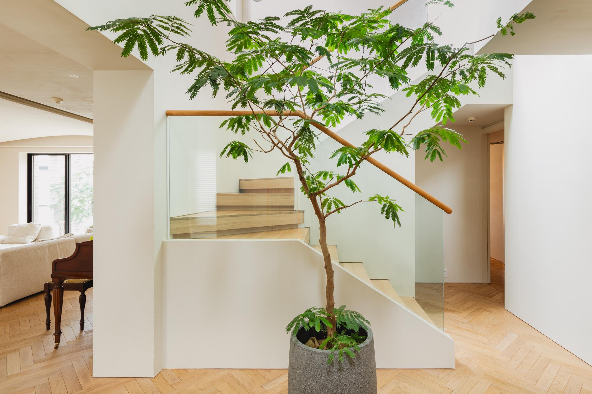iF Design - Residence S