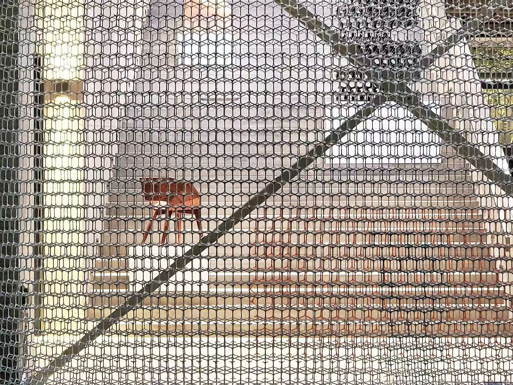 Yang Design Museum