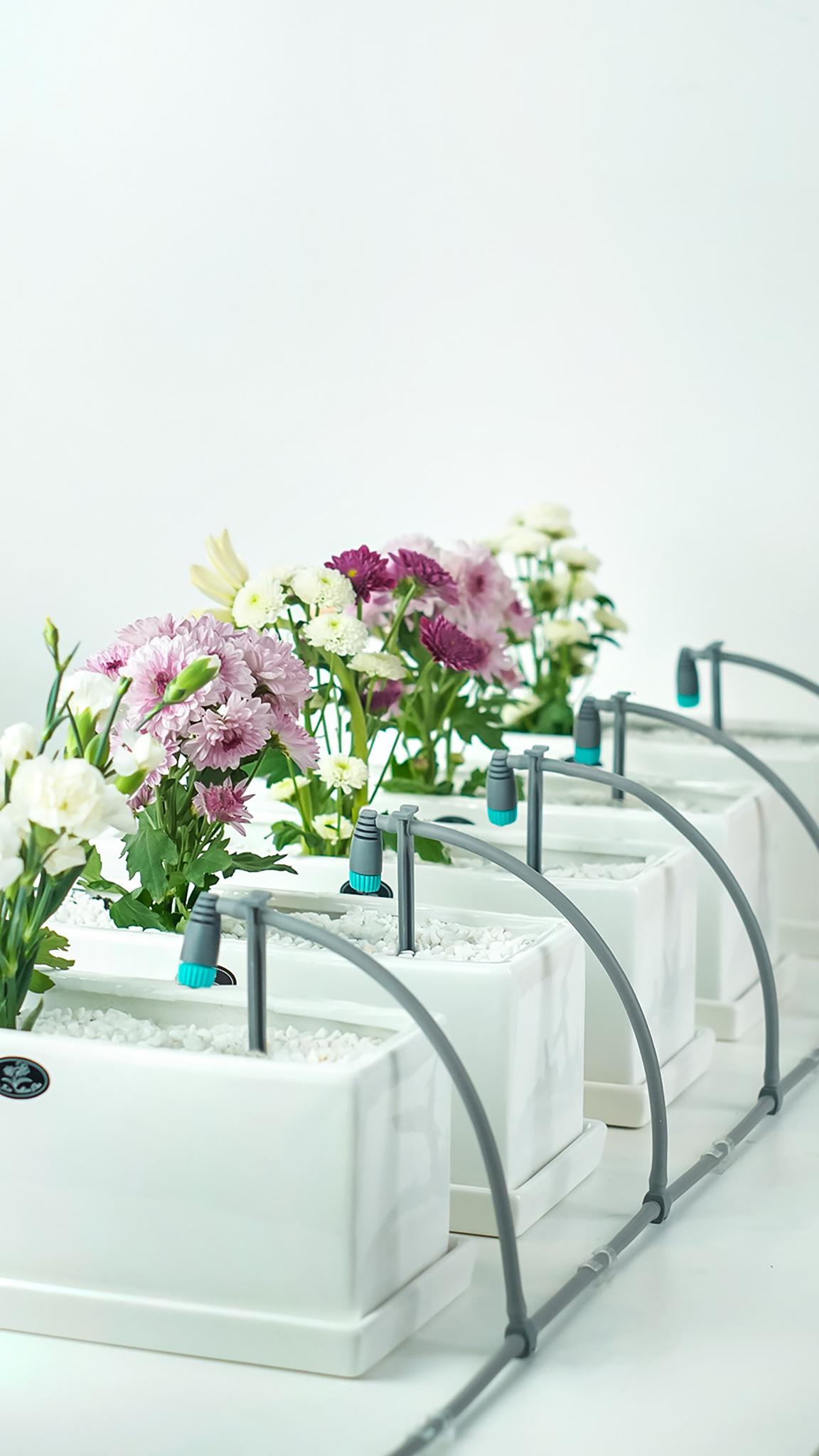 zeego Intelligent Precision Irrigation System