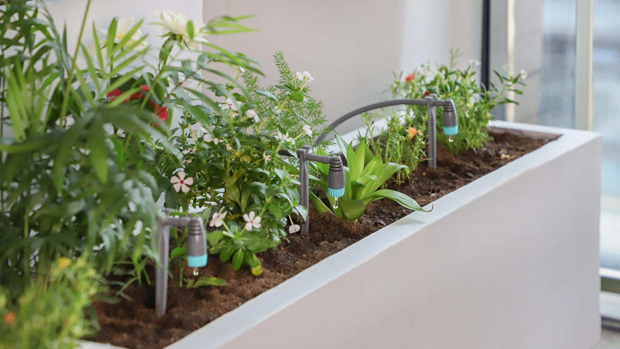 zeego Intelligent Precision Irrigation System