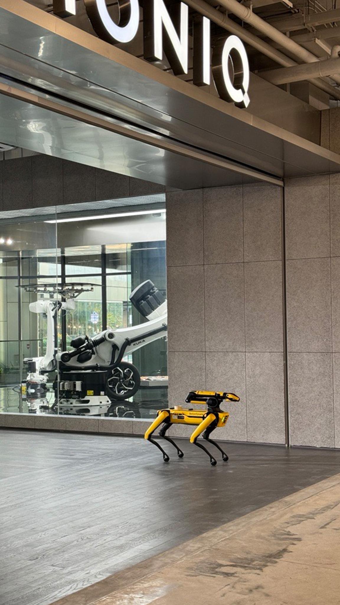 Robotic Retail Experience