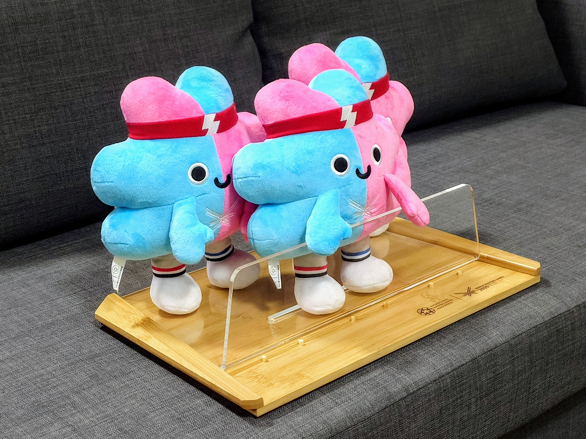 Sustainable Awards for World Masters Games 2025