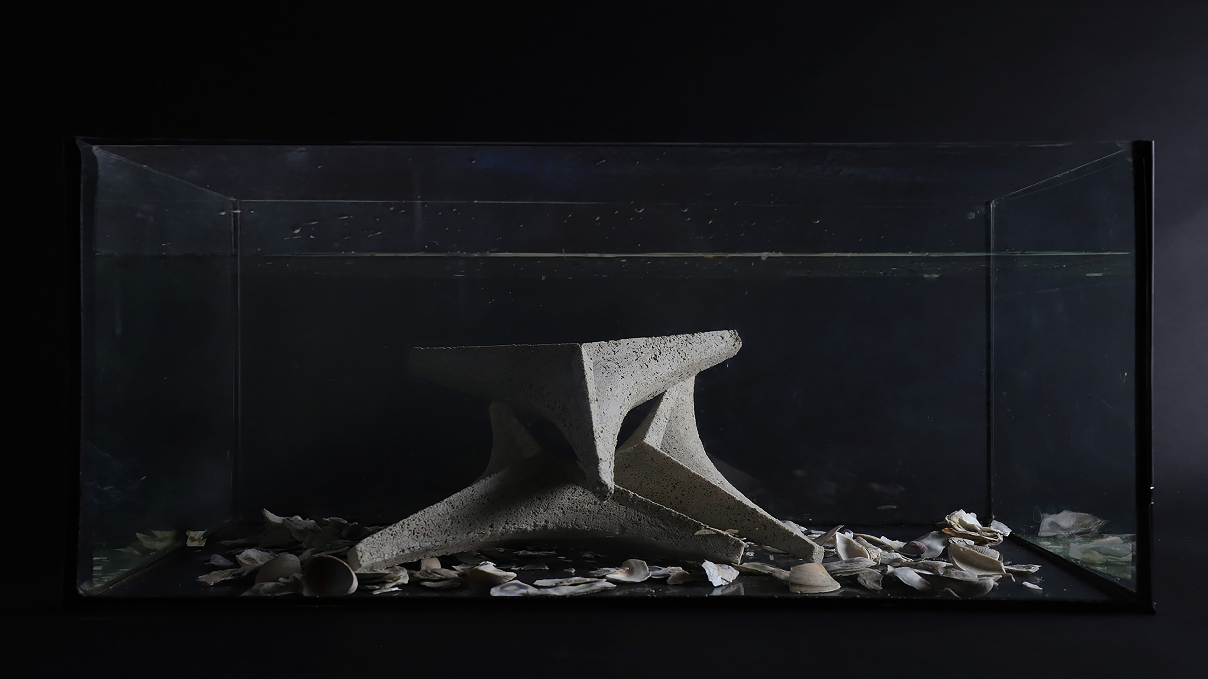 CARBOGEM - Carbon Capture in Artificial Reefs