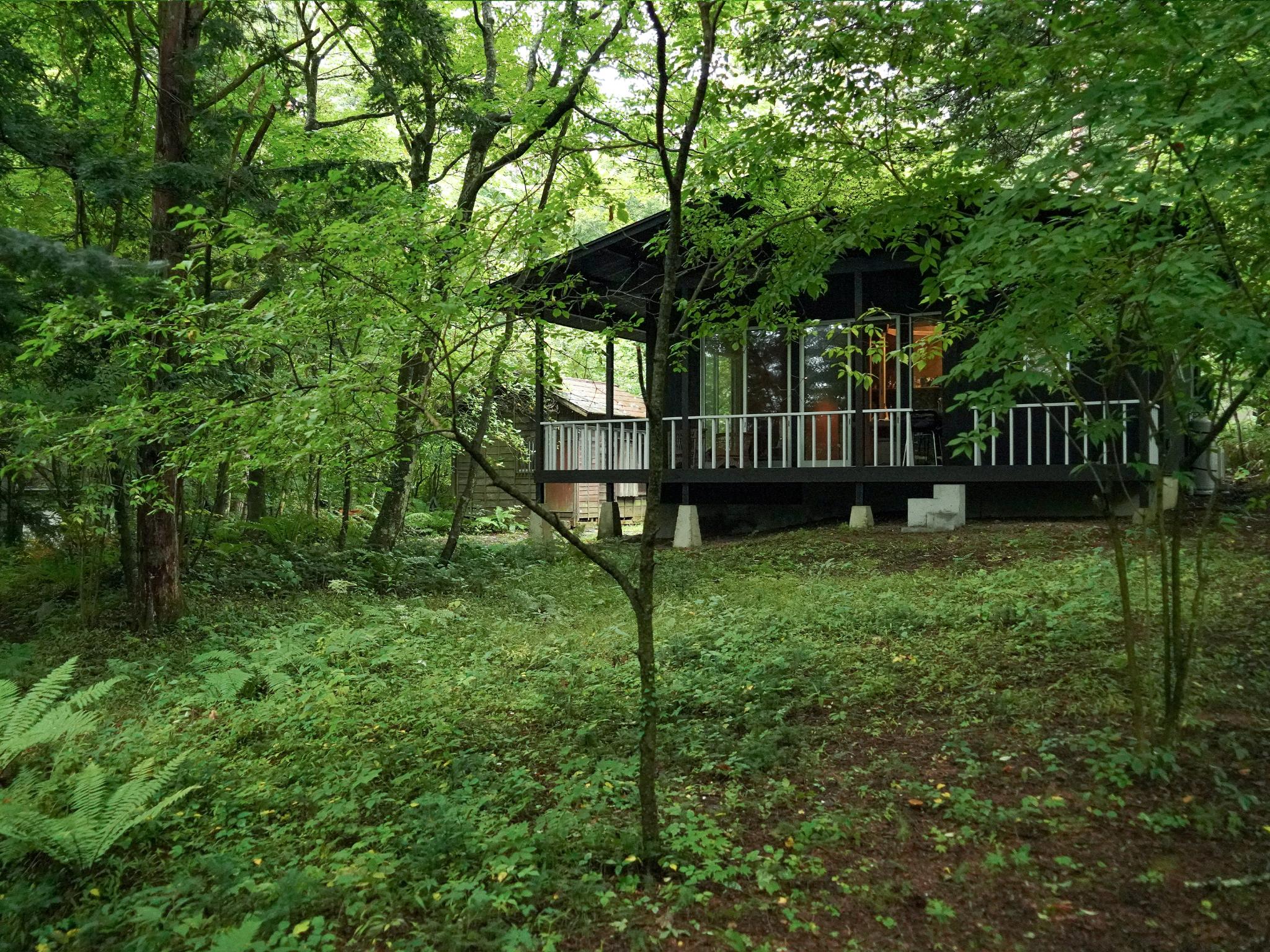 The Coordinates in The Forest