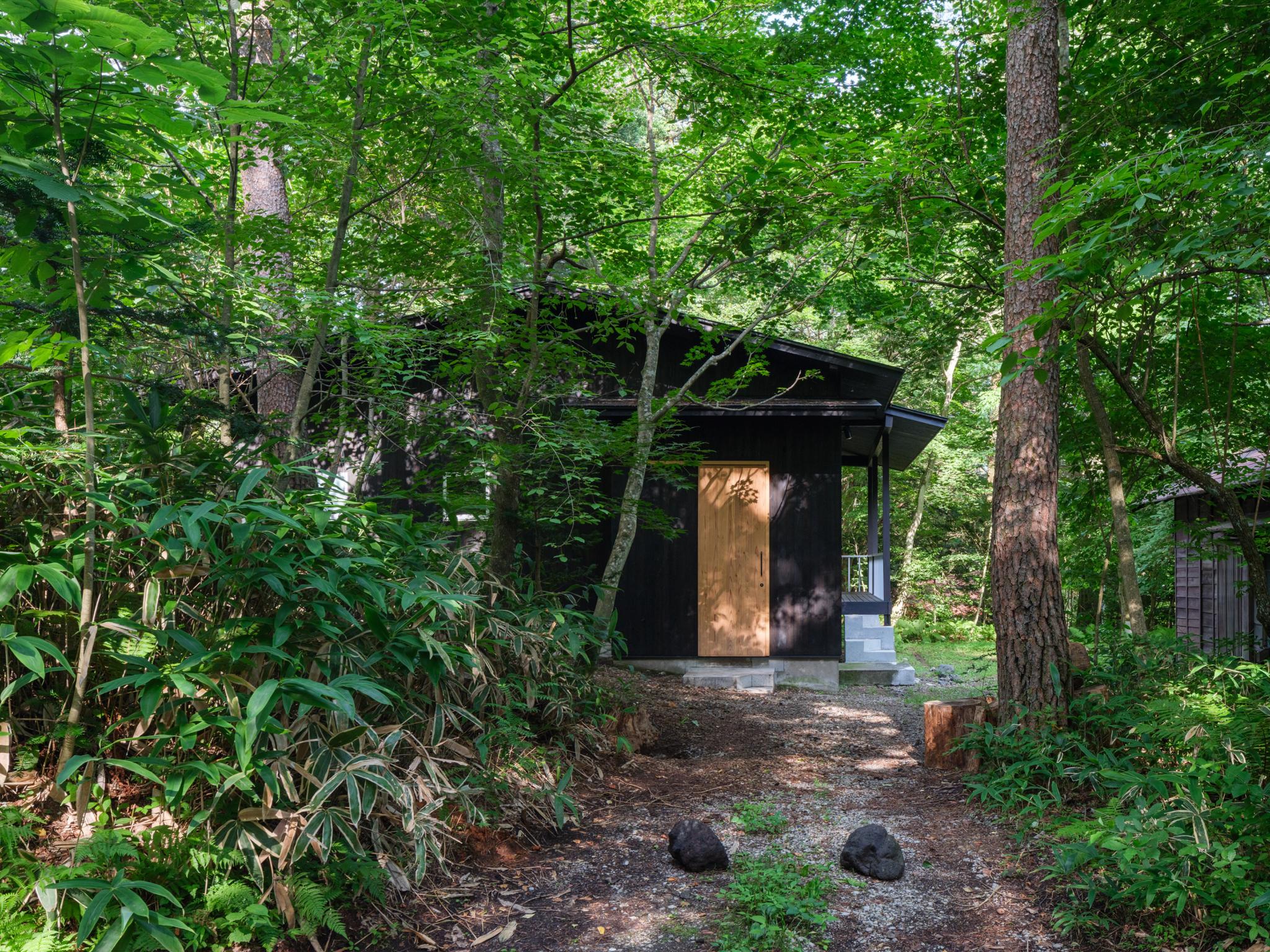 The Coordinates in The Forest