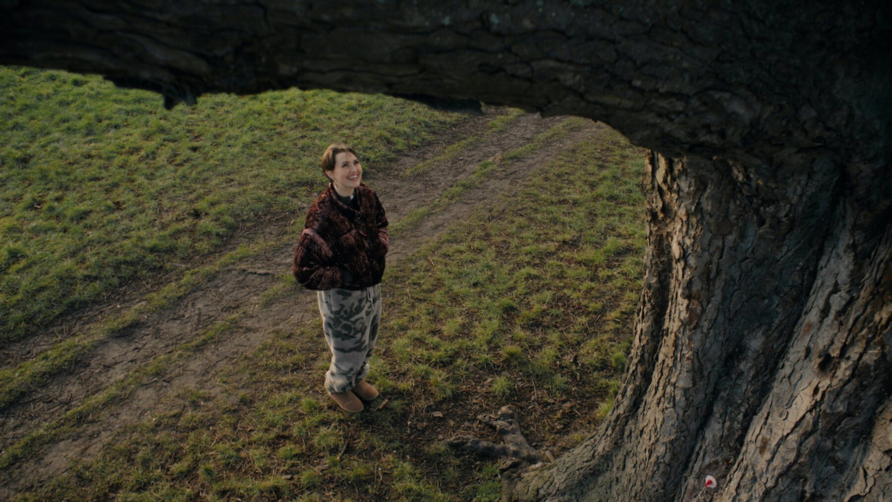 Talking Tree
