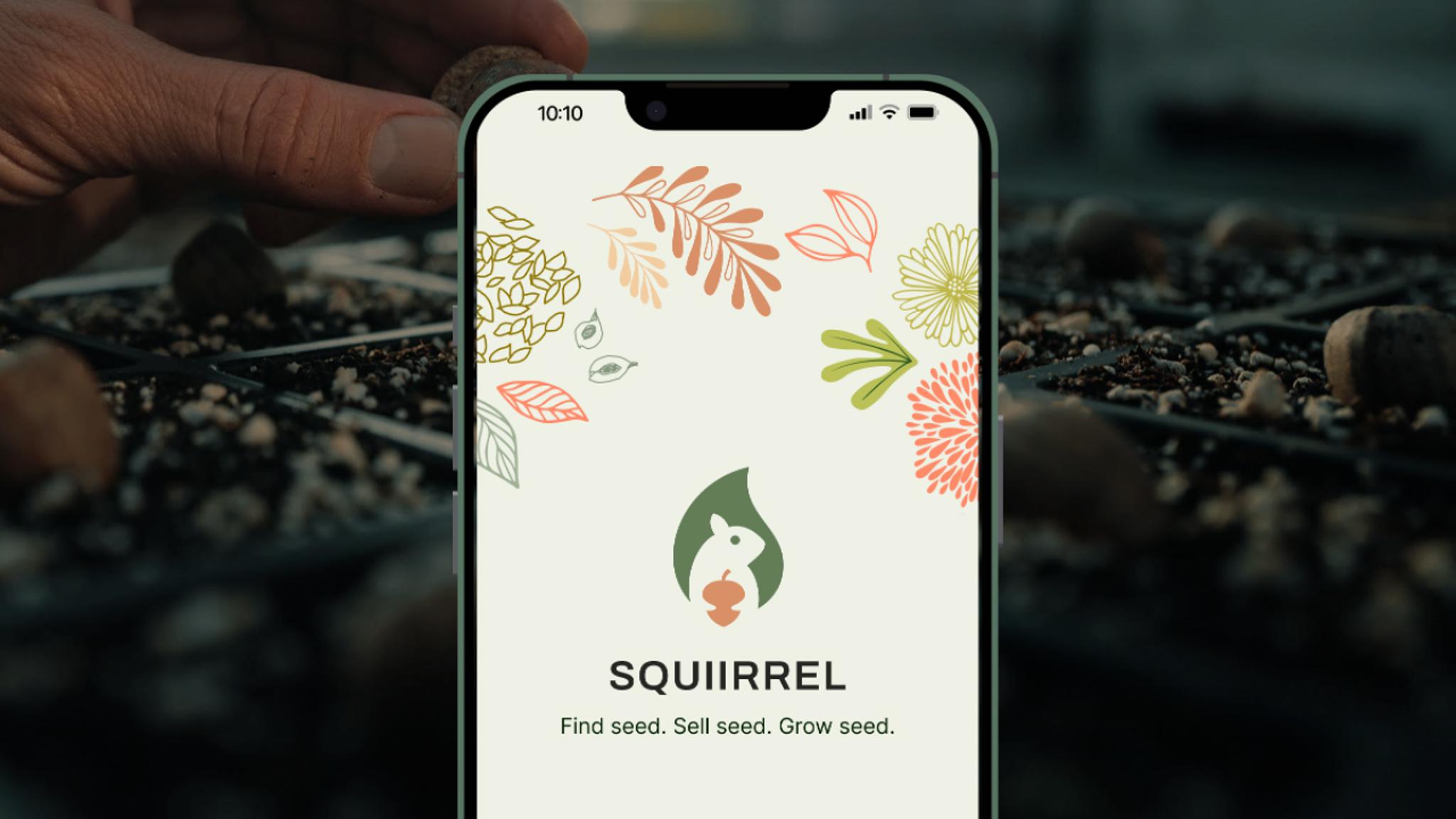 Squiirrel