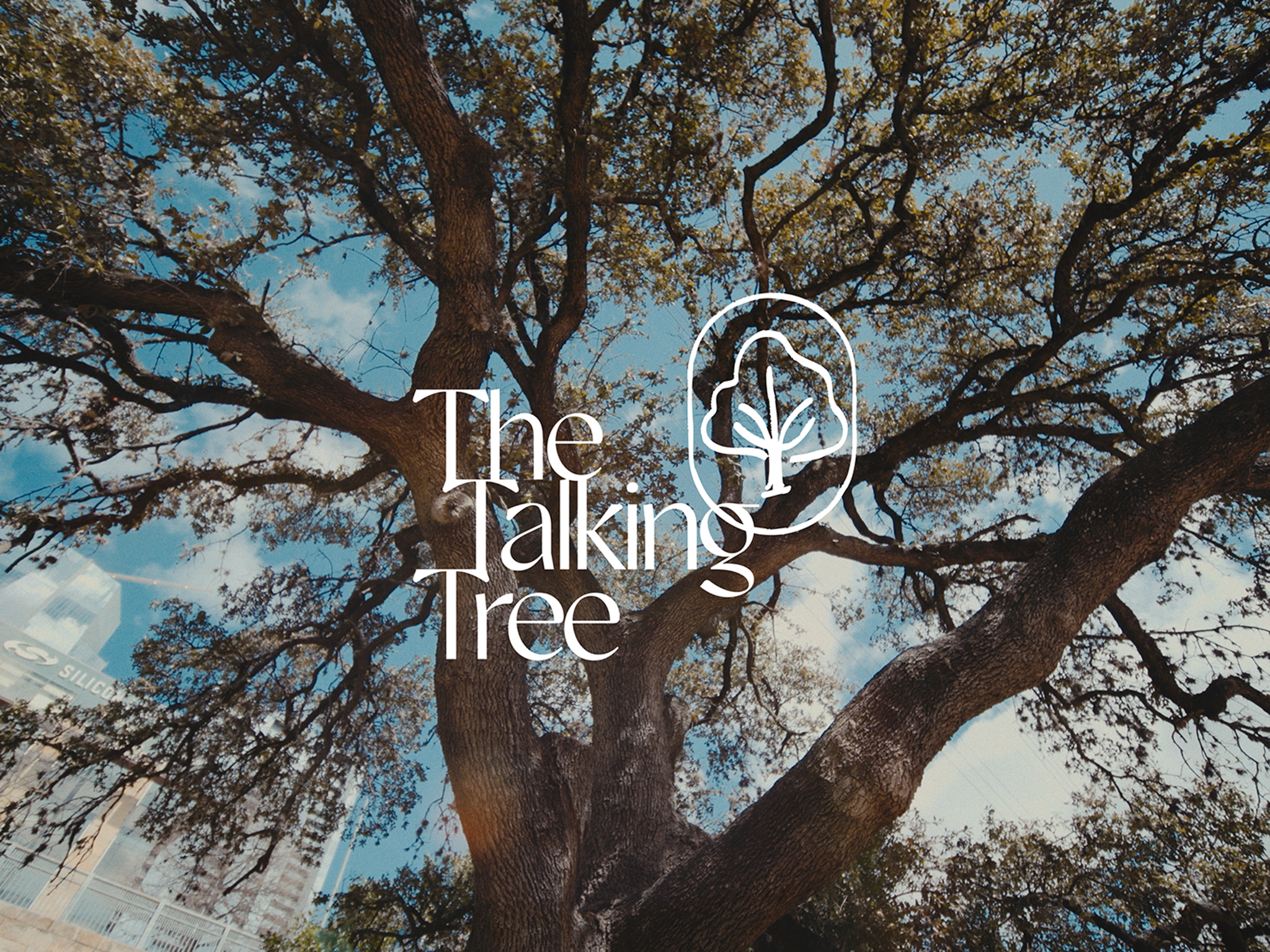 Talking Tree