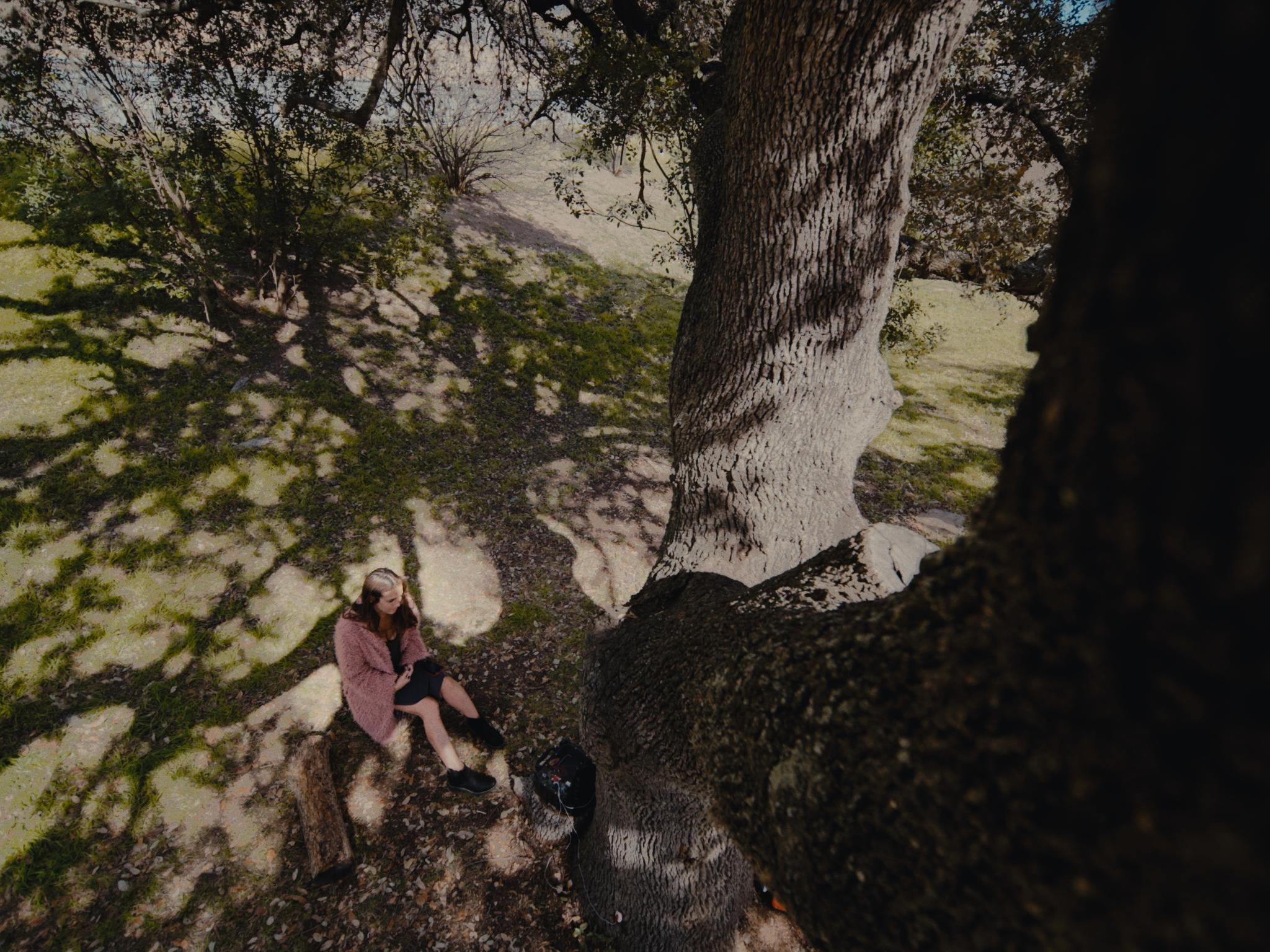 Talking Tree