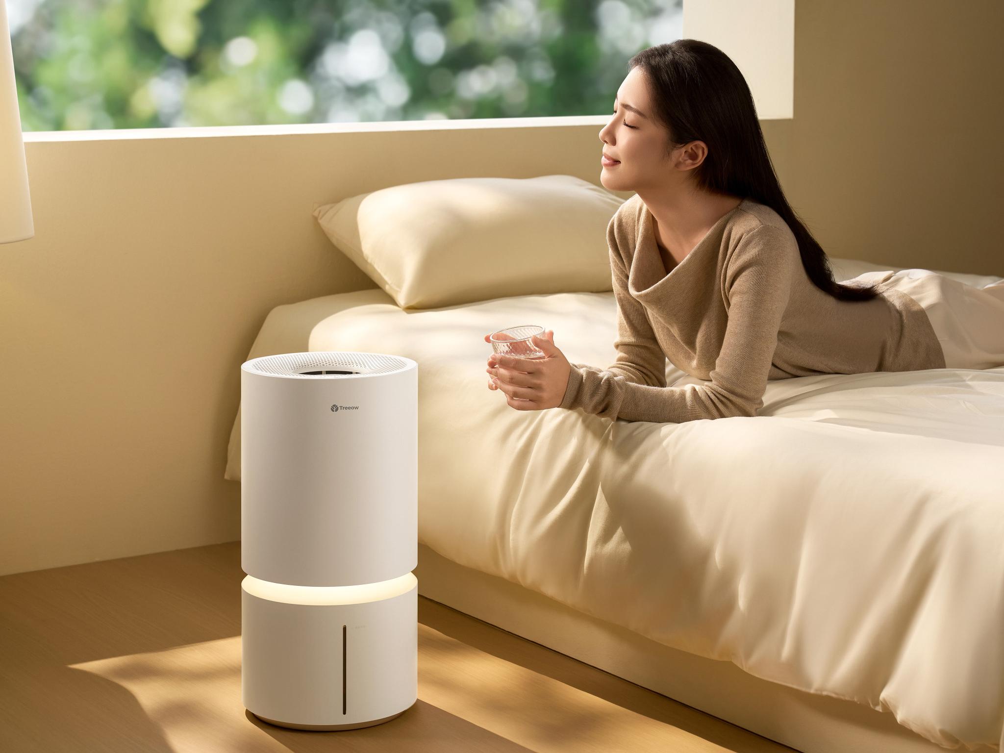 Fogless Pure Humidifier