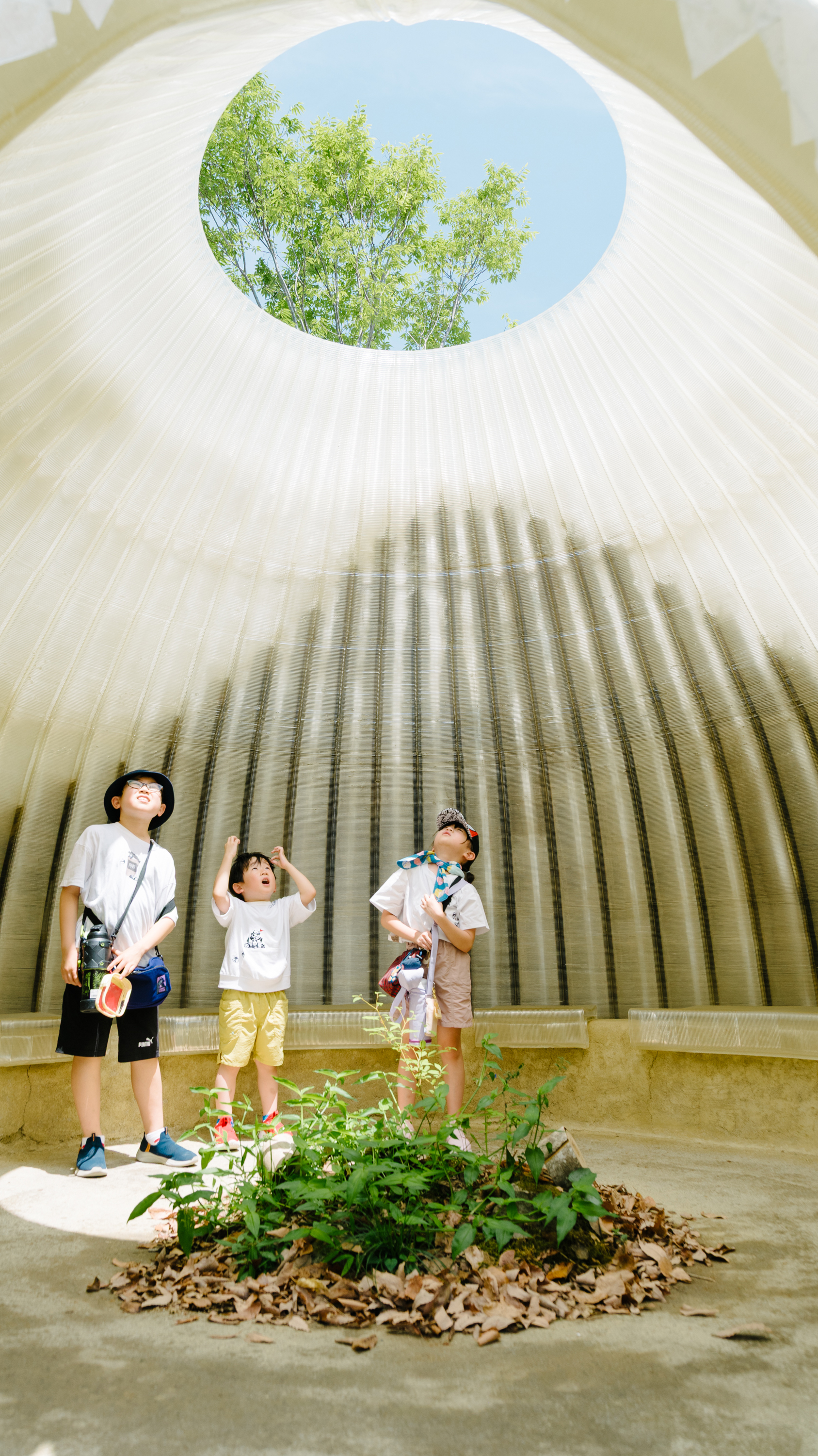 Foresting Architecture