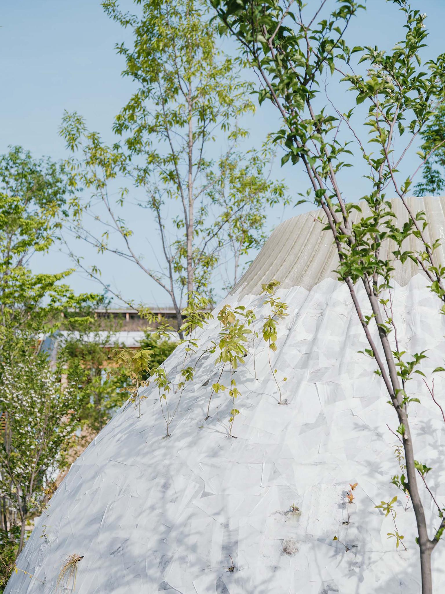 Foresting Architecture