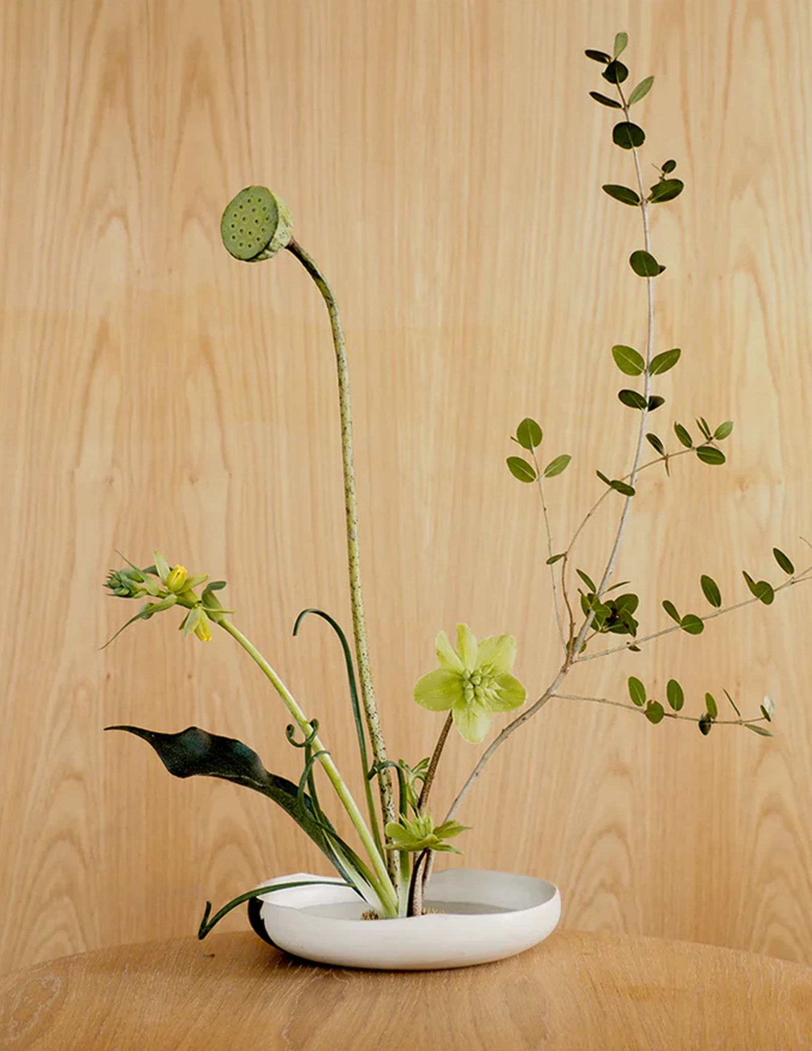 Cooklife x İLAERG. Sand Black Tableware Collection