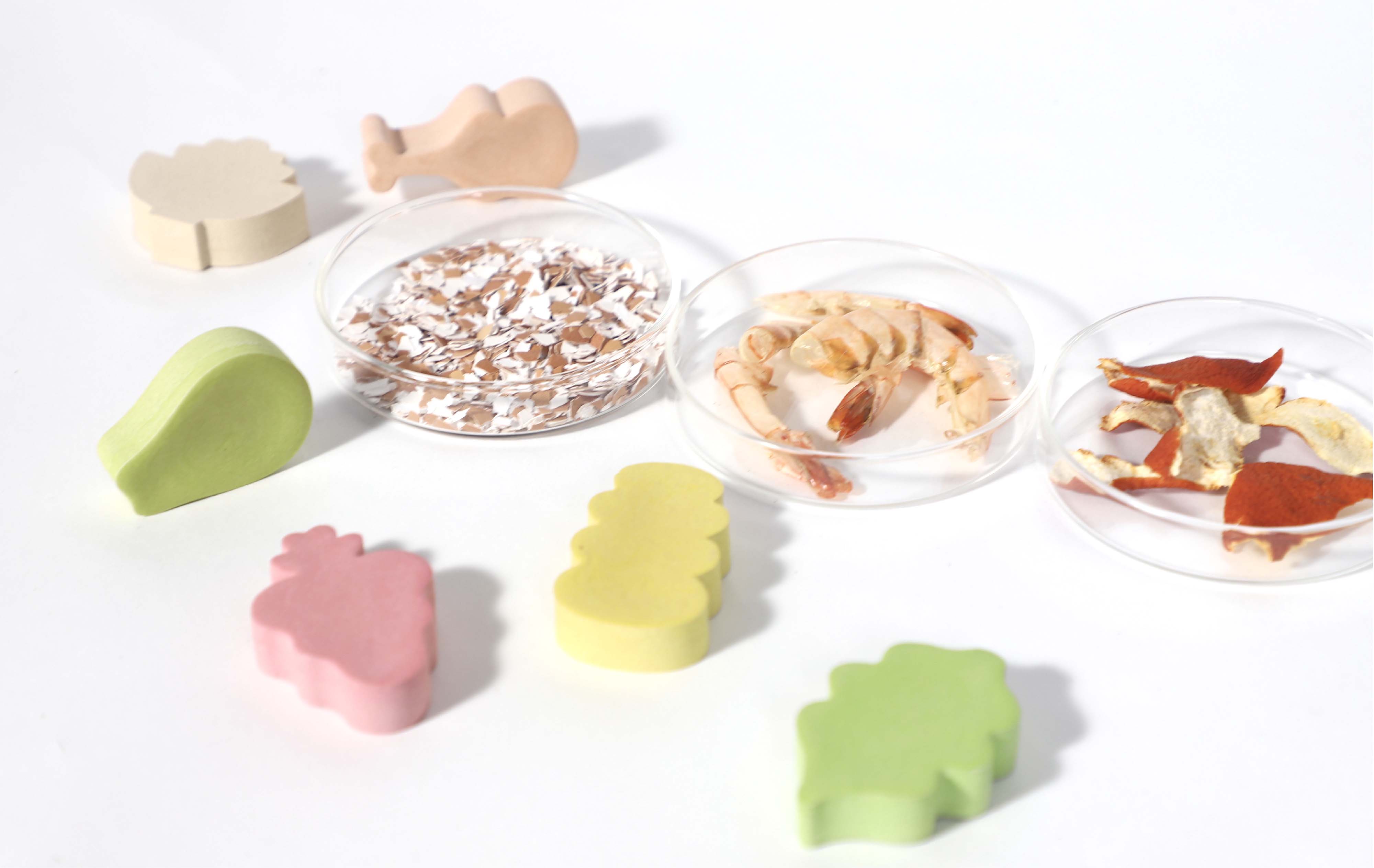 Fookis - Biomaterials Toy Set