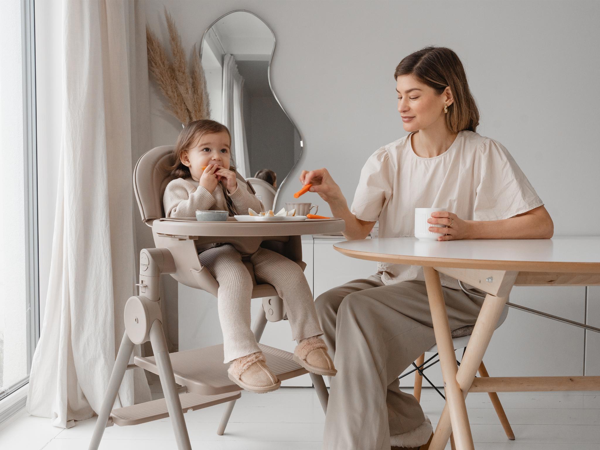 Anex Ozy High-chair 3-in-1