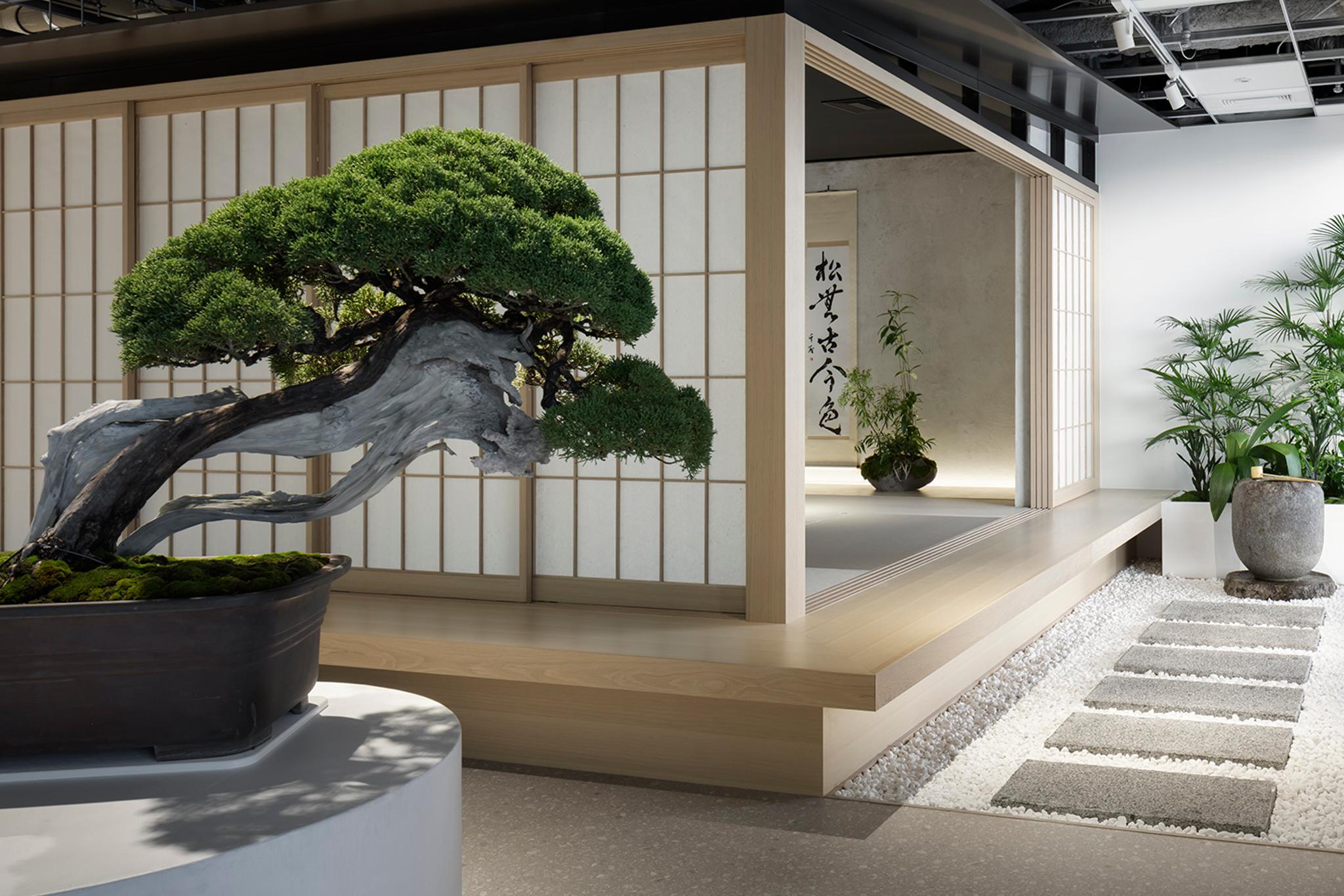 Social Beauty Innovators BASE