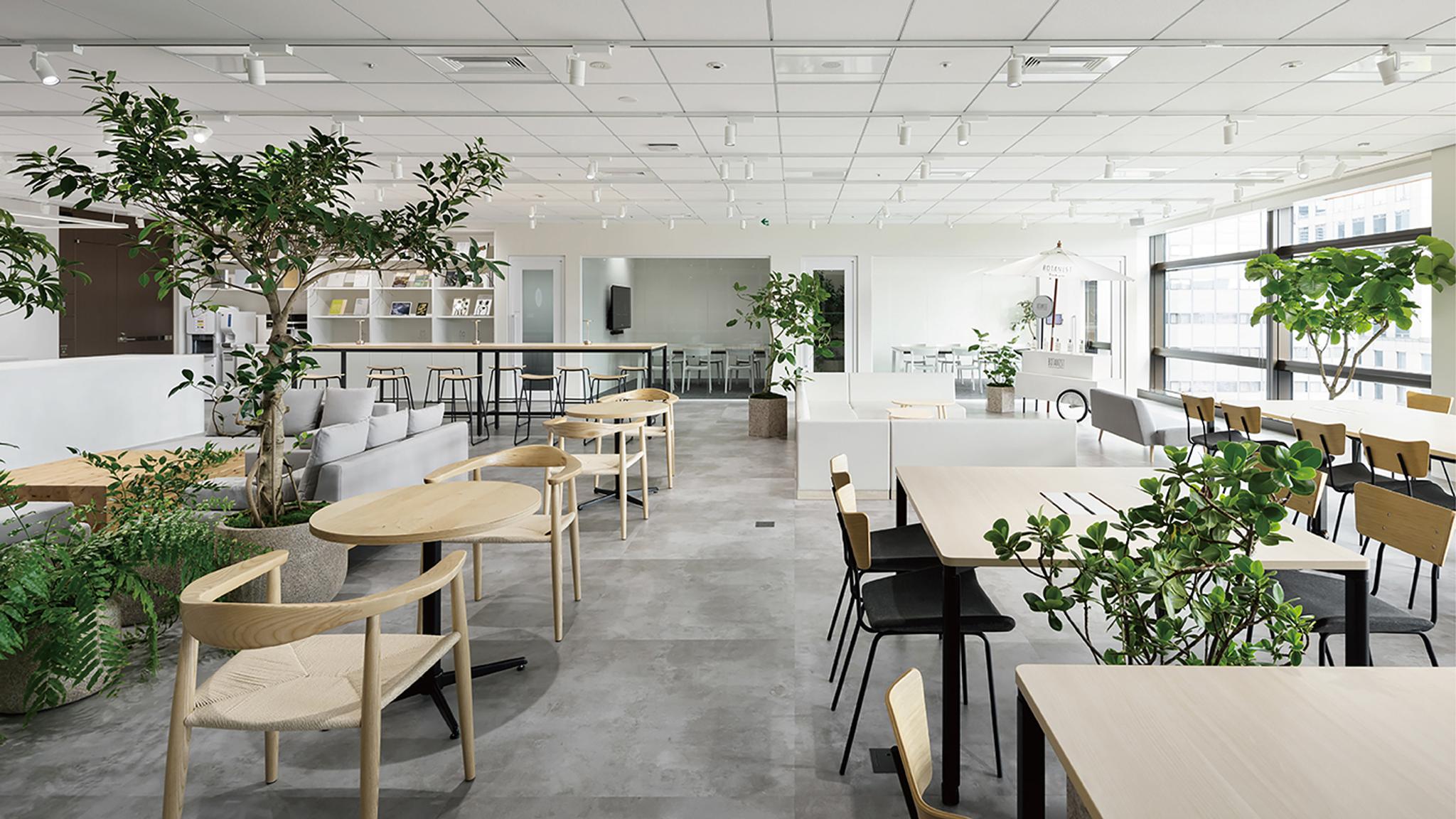 Social Beauty Innovators BASE