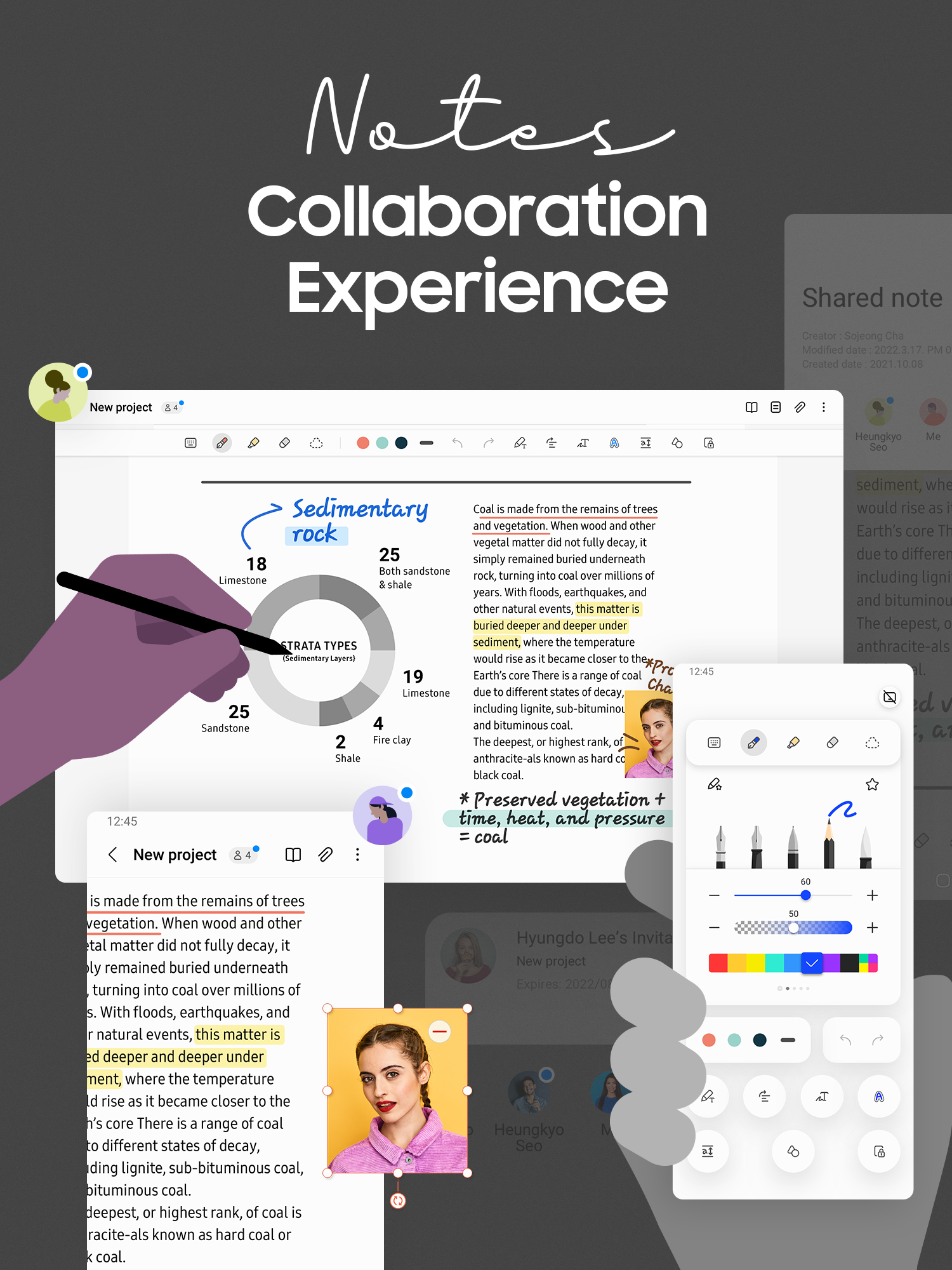 Notes Collaboration Experience