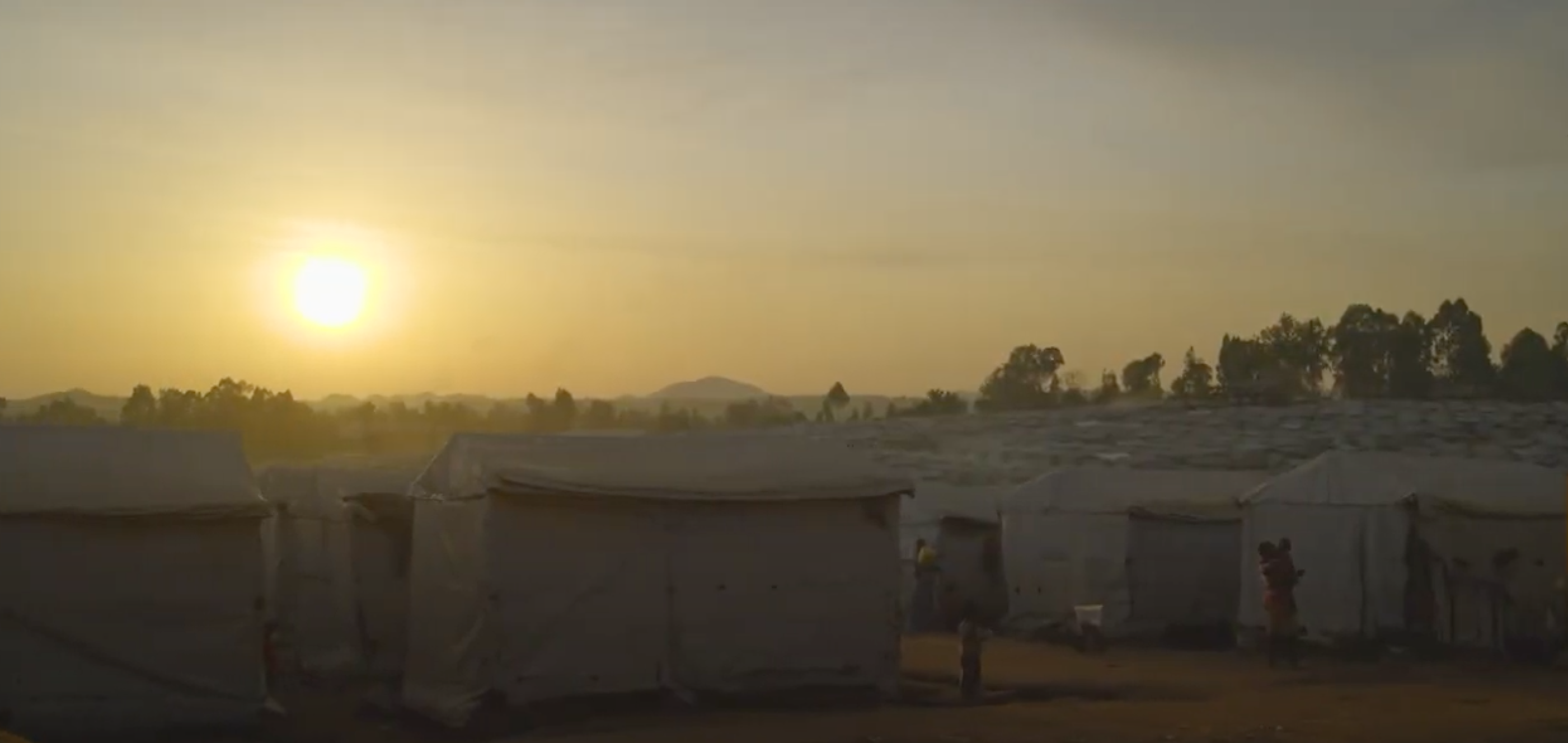 Pathways of Resilience: Wellness & Trauma Recovery