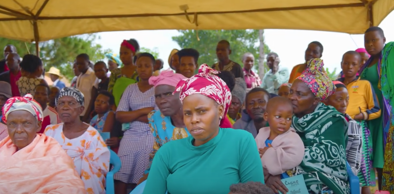 Pathways of Resilience: Wellness & Trauma Recovery