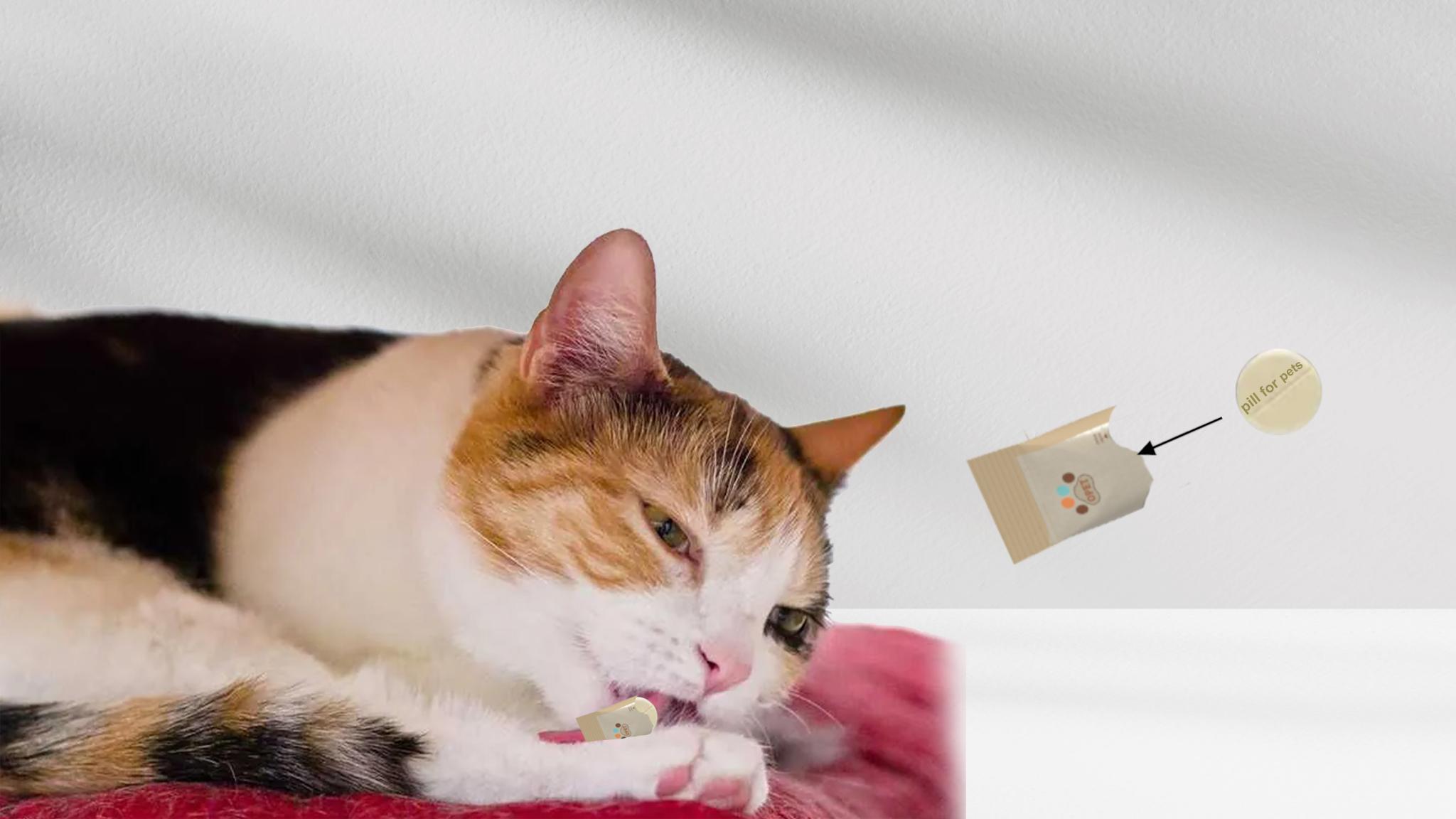 Water-Soluble & Edible Pet Food Packaging