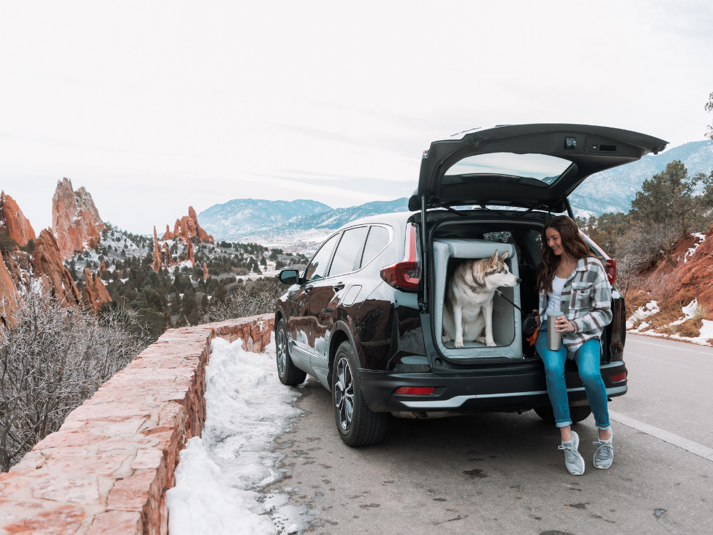 Diggs Enventur Inflatable Travel Kennel