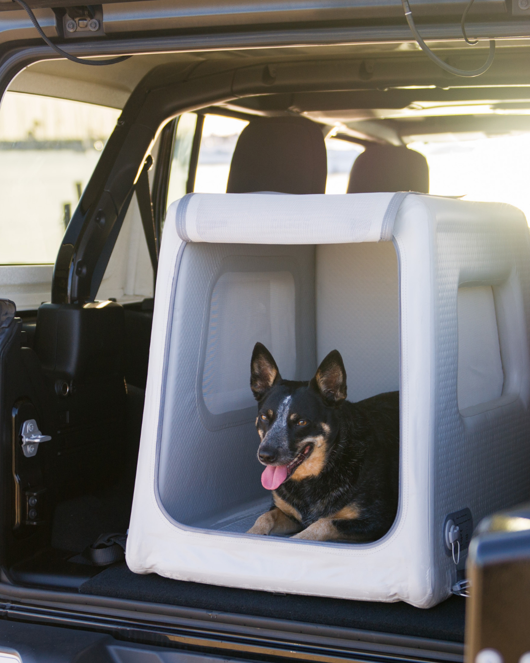 Diggs Enventur Inflatable Travel Kennel