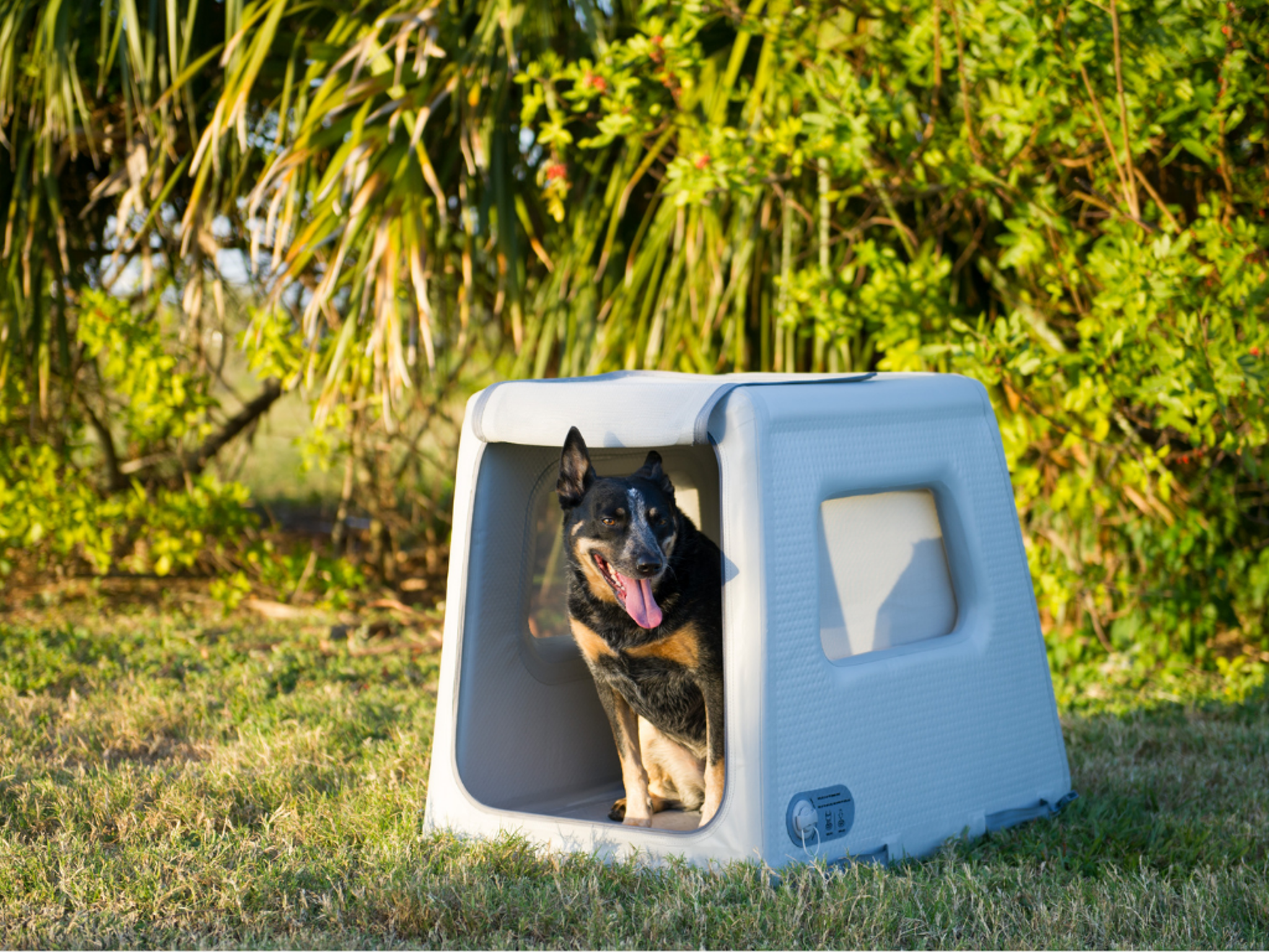 Diggs Enventur Inflatable Travel Kennel