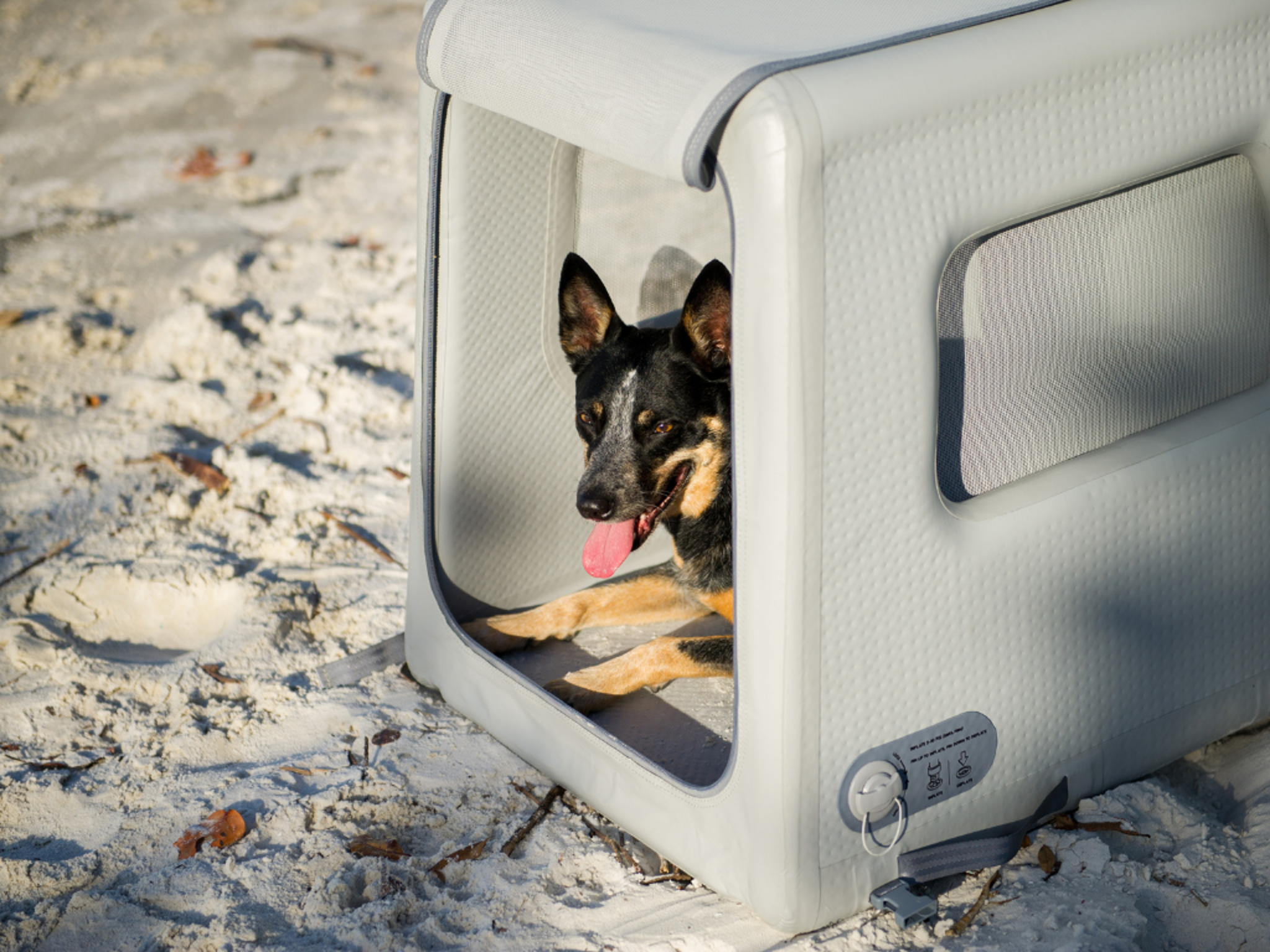 Diggs Enventur Inflatable Travel Kennel