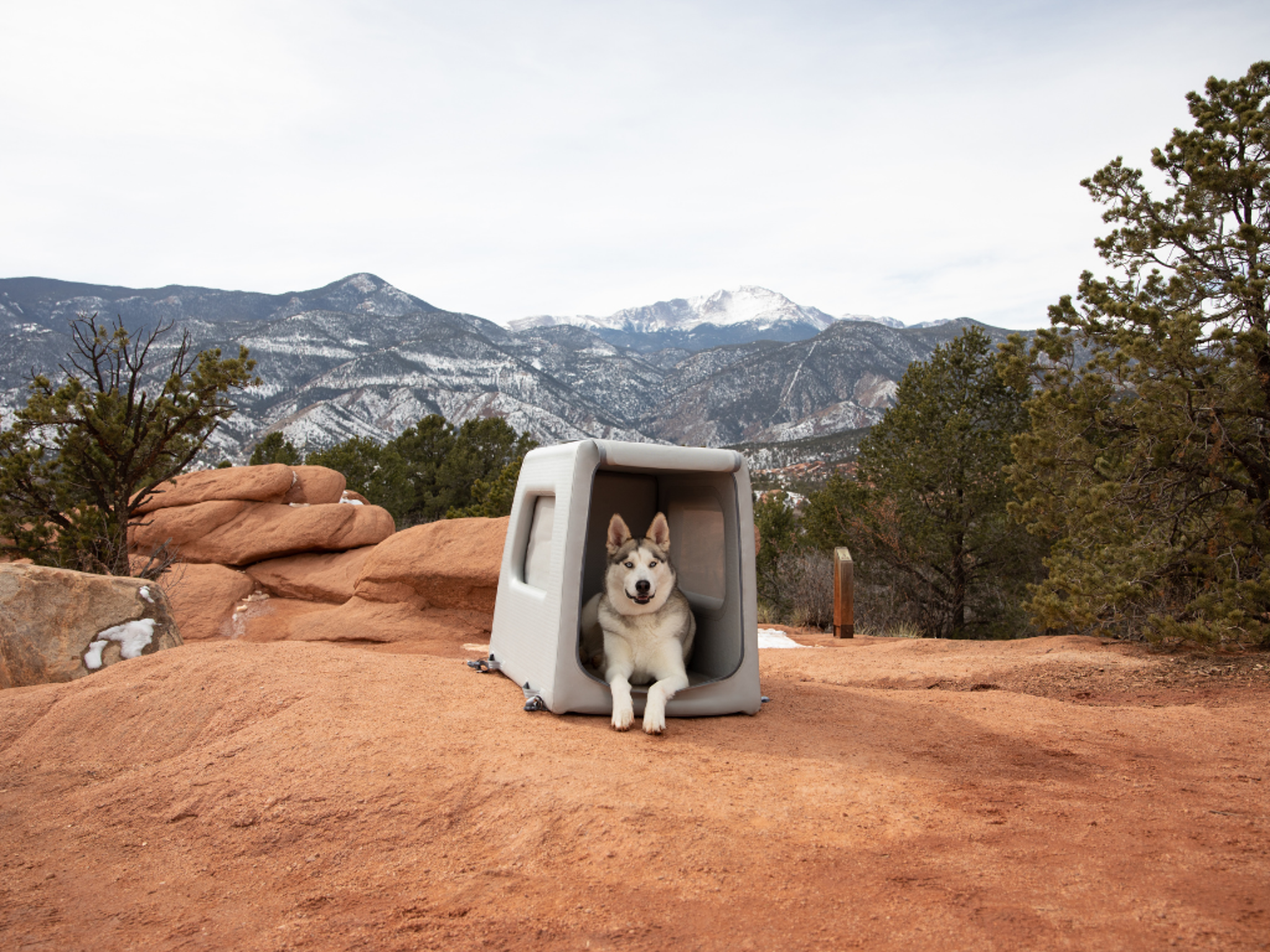 Diggs Enventur Inflatable Travel Kennel