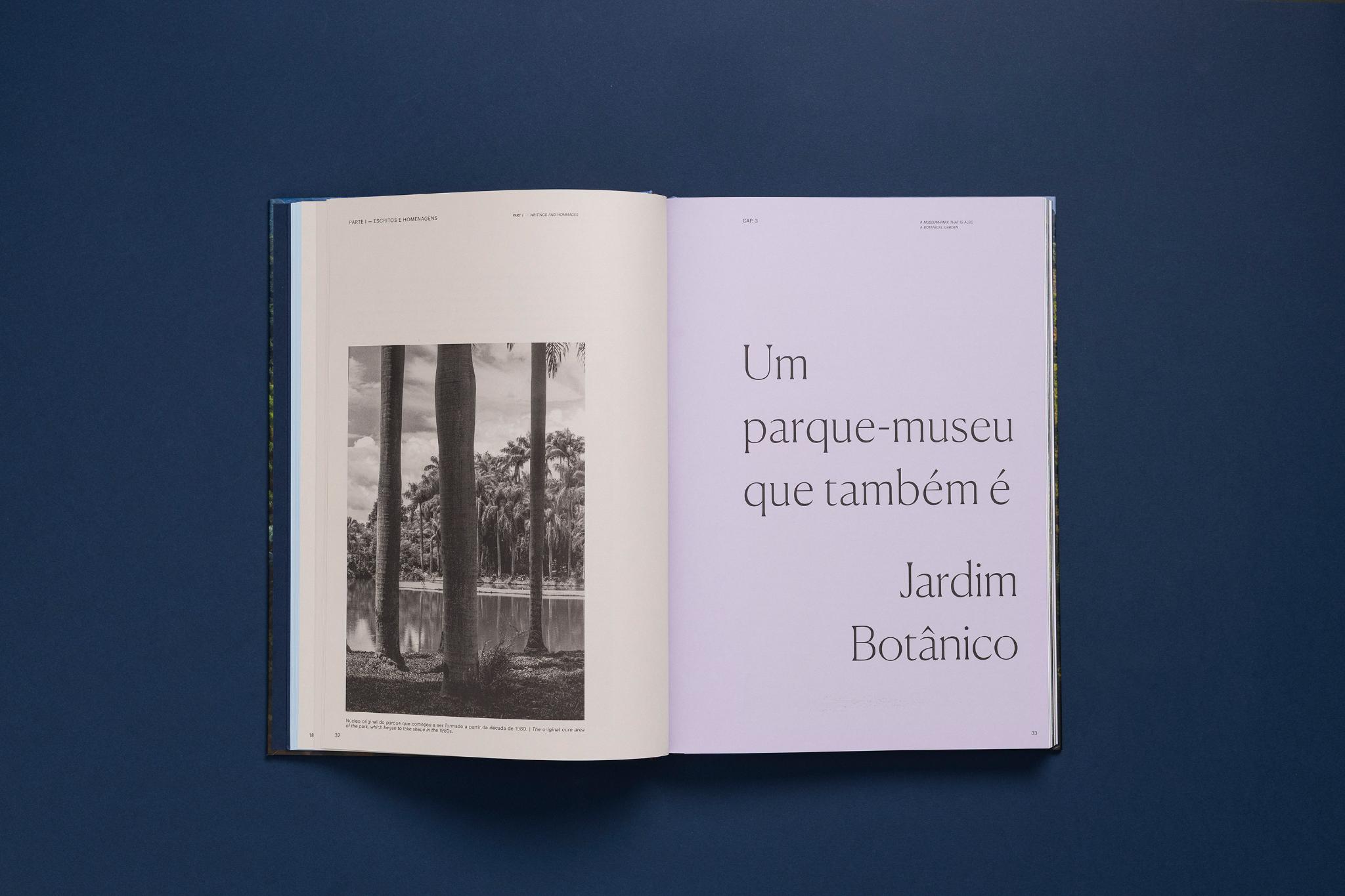 Root, seed, leaf and flower - Inhotim Gardens