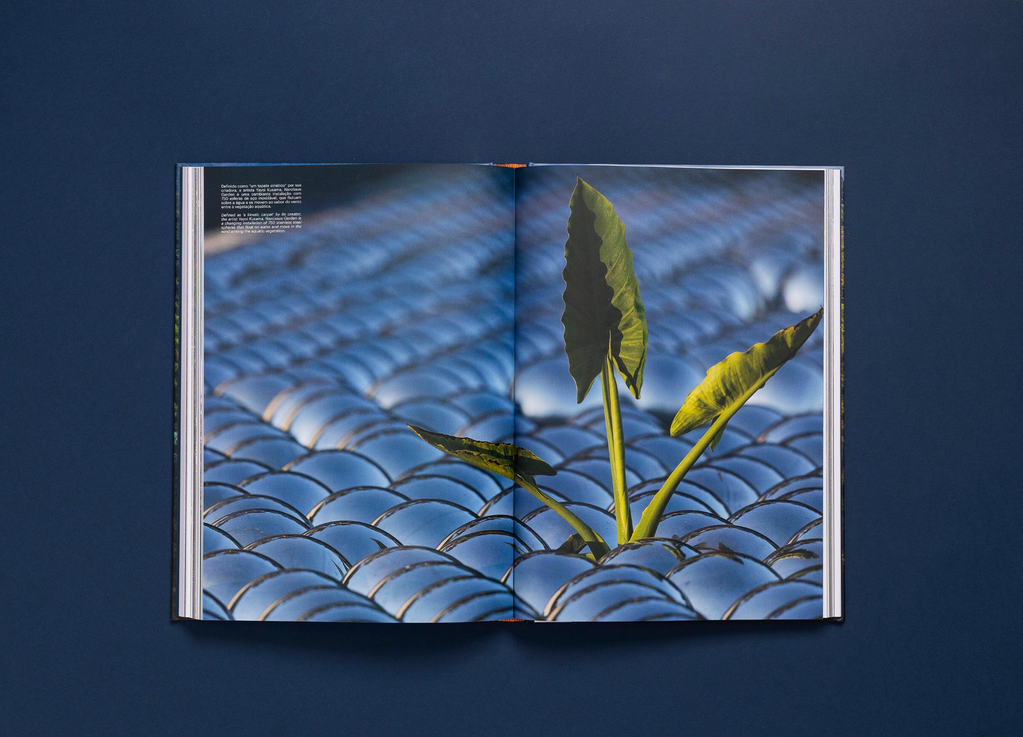 Root, seed, leaf and flower - Inhotim Gardens