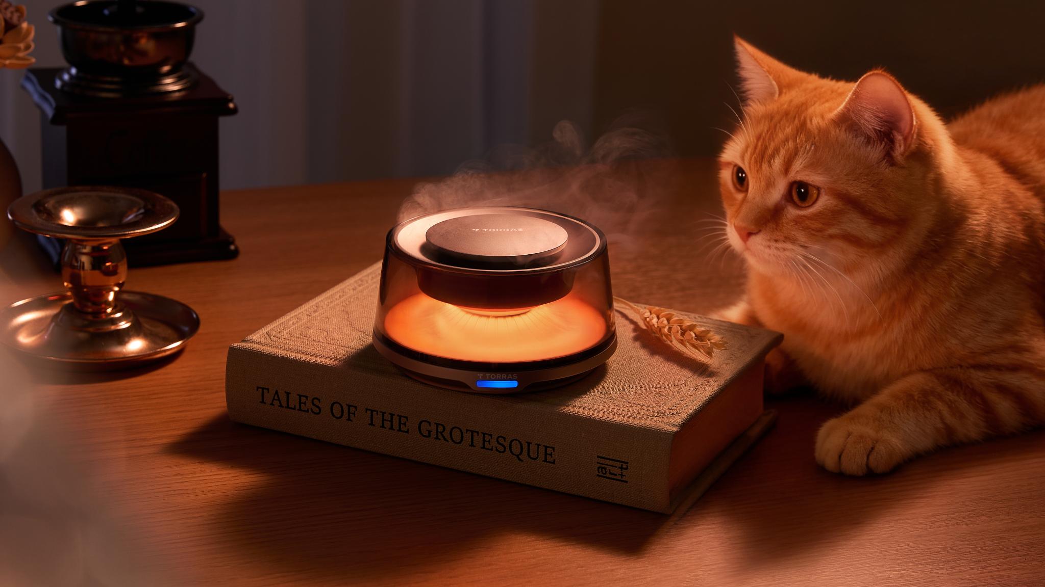 Snow Mountain Diffsuer