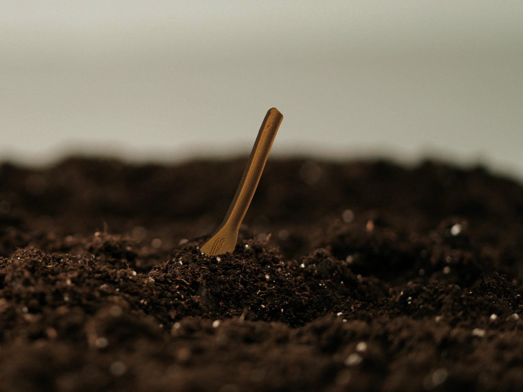 2050® Edible Cutlery