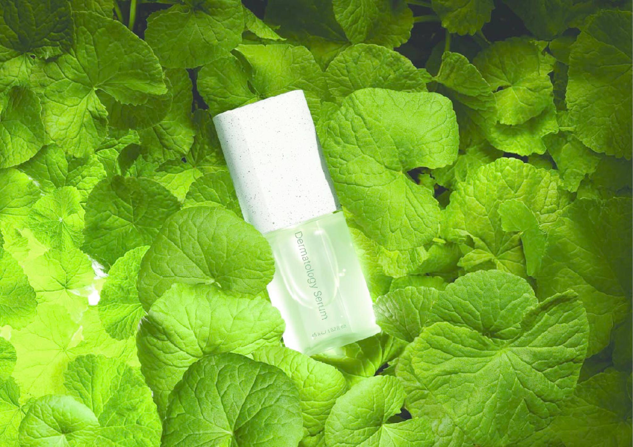 ICD DERMATOLOGY LINE DESIGN (BOOSTER, SERUM, CREAM