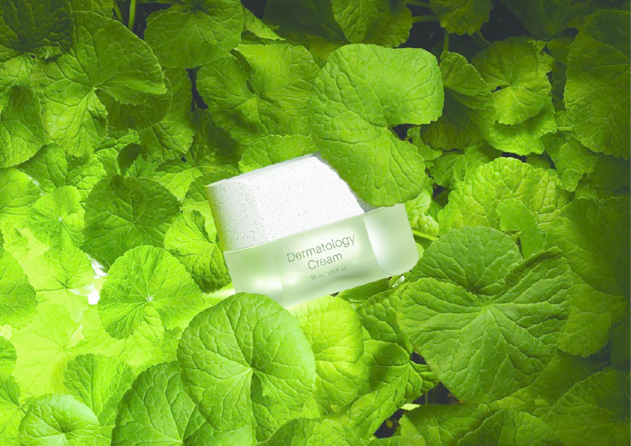 ICD DERMATOLOGY LINE DESIGN (BOOSTER, SERUM, CREAM