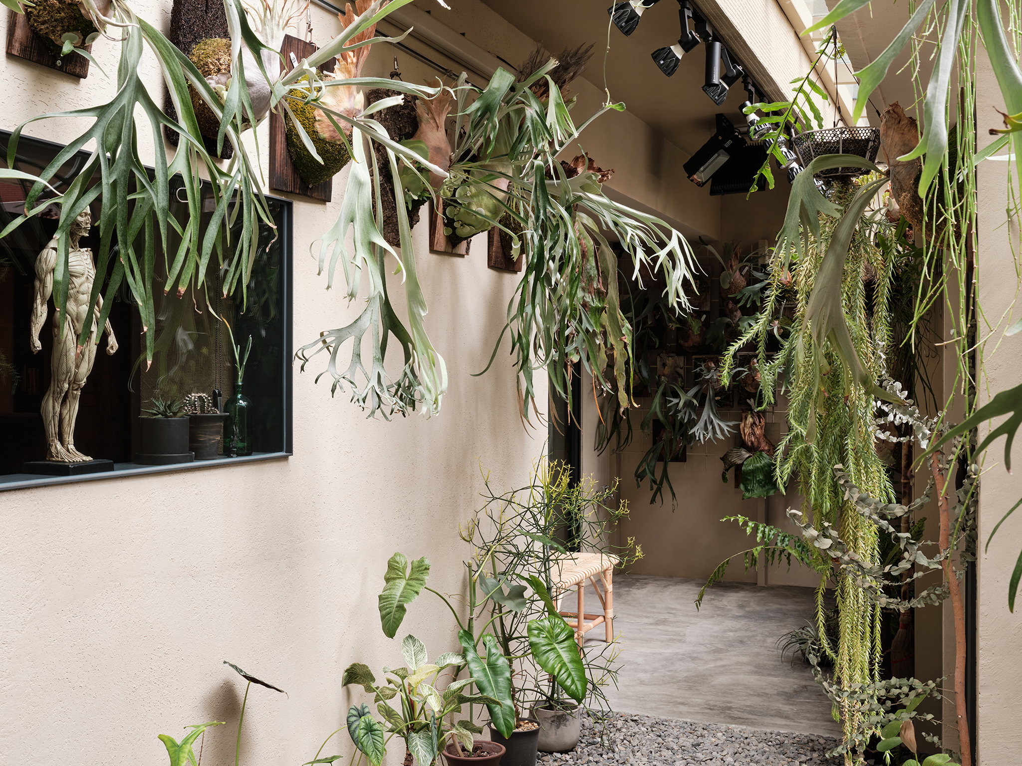 The Essence Of Nature