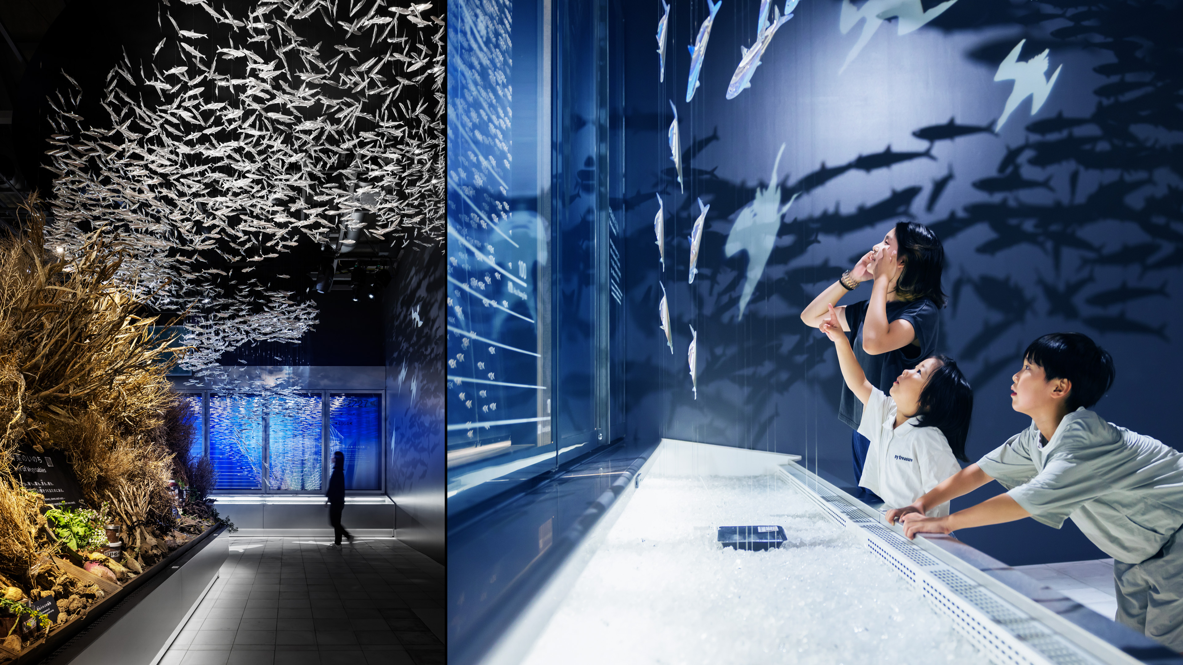 Expo 2025 Osaka, Kansai, Japan “EARTH MART”