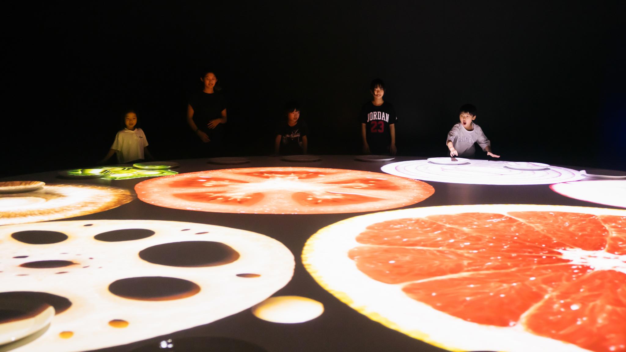 Expo 2025 Osaka, Kansai, Japan “EARTH MART”