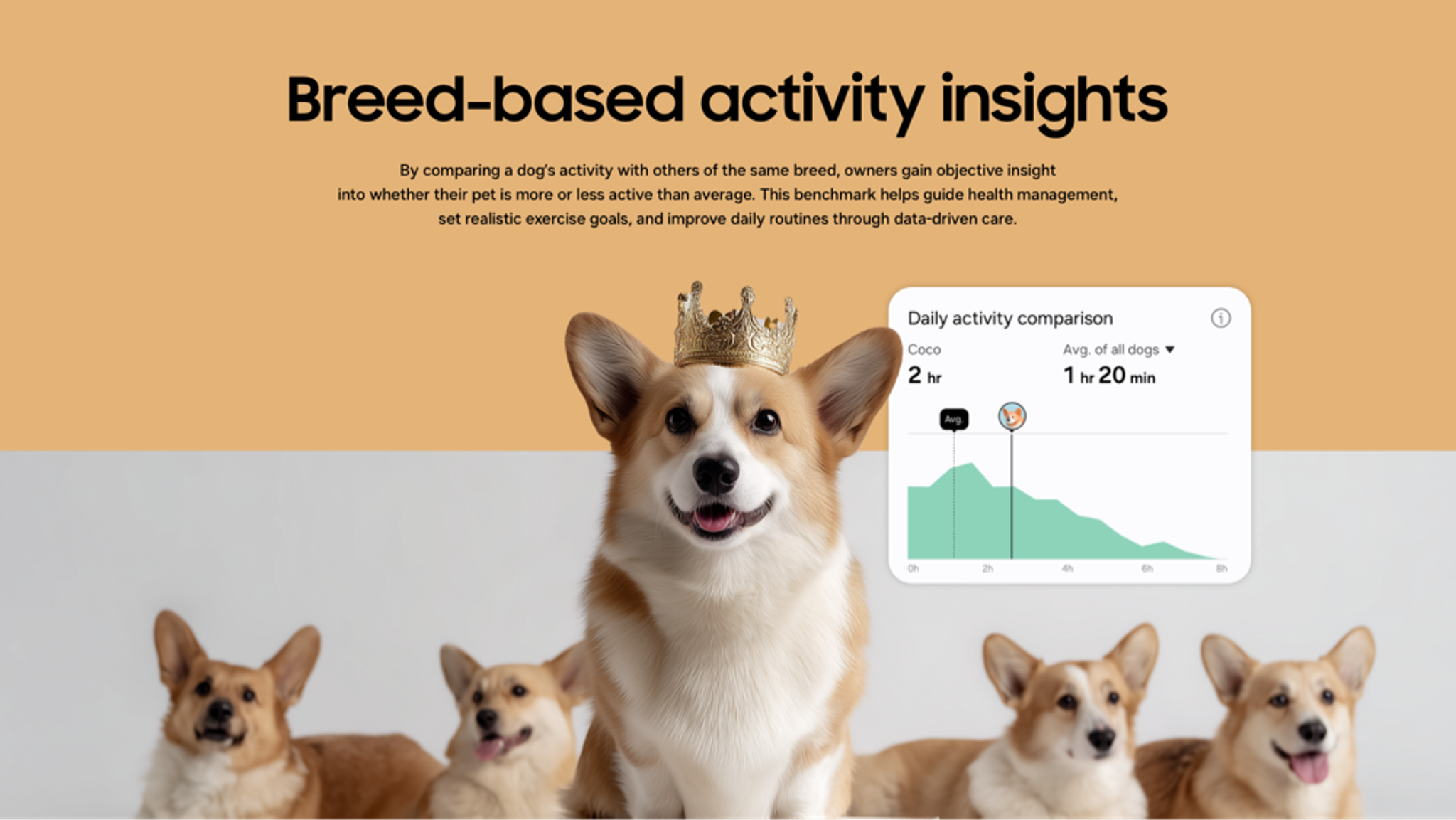 SmartThings Pet Care